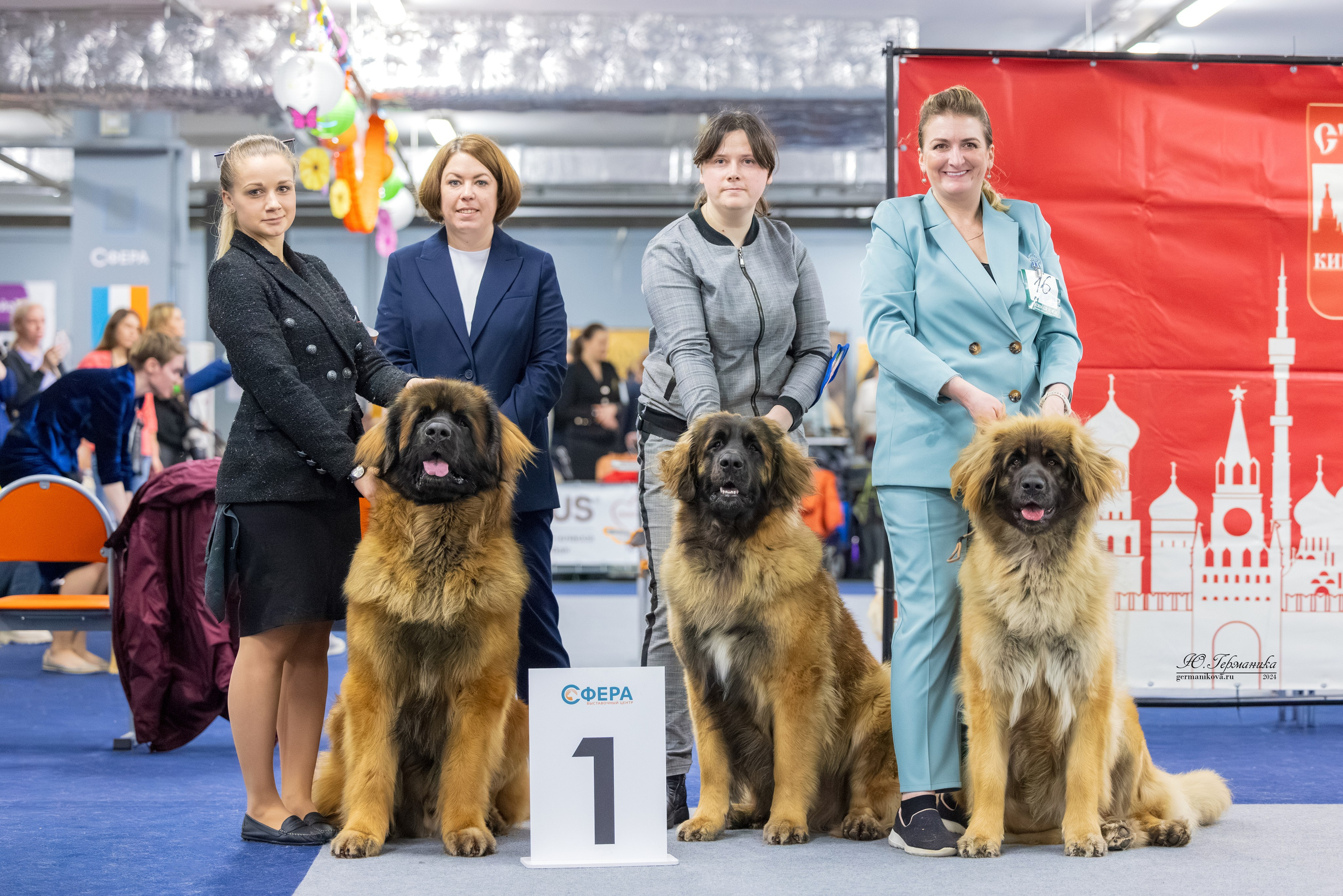 Сфера 17.03.2024. Фотограф-анималист Юлия Германика