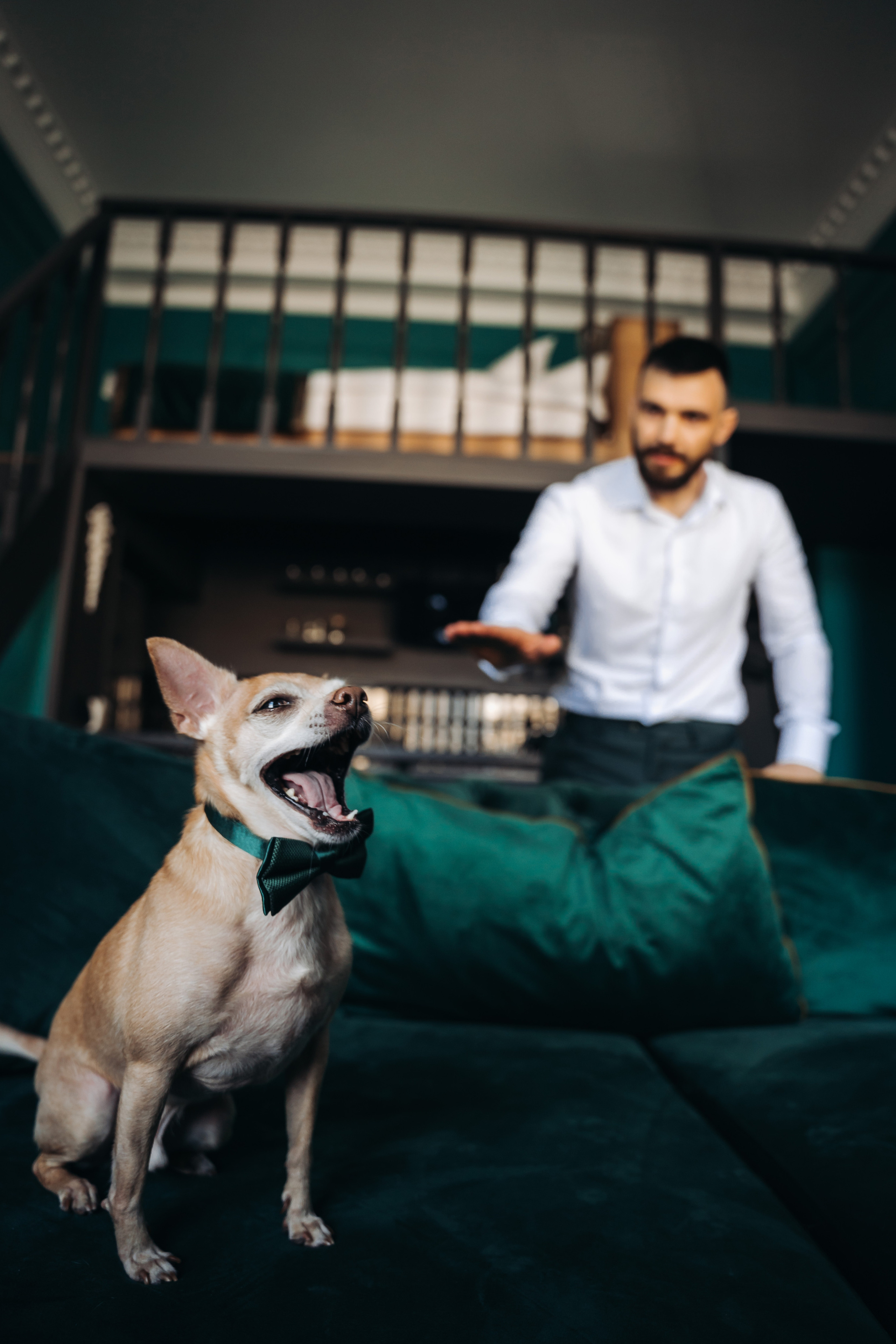 Yana&Aleksandr. Свадебный фотограф в Санкт-Петербурге Якутович Екатерина