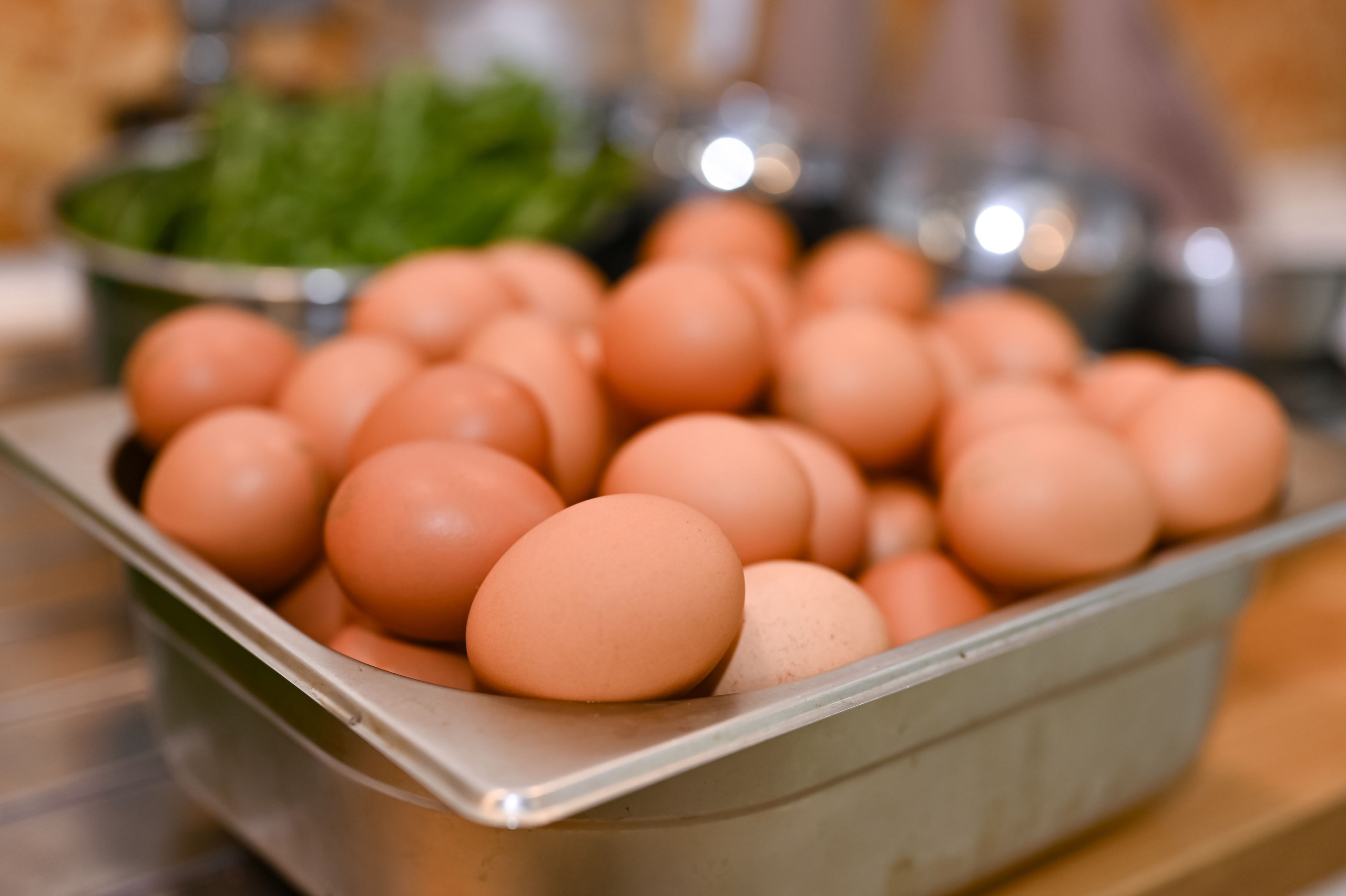 . ZDARONOKIA Репортажный фотограф