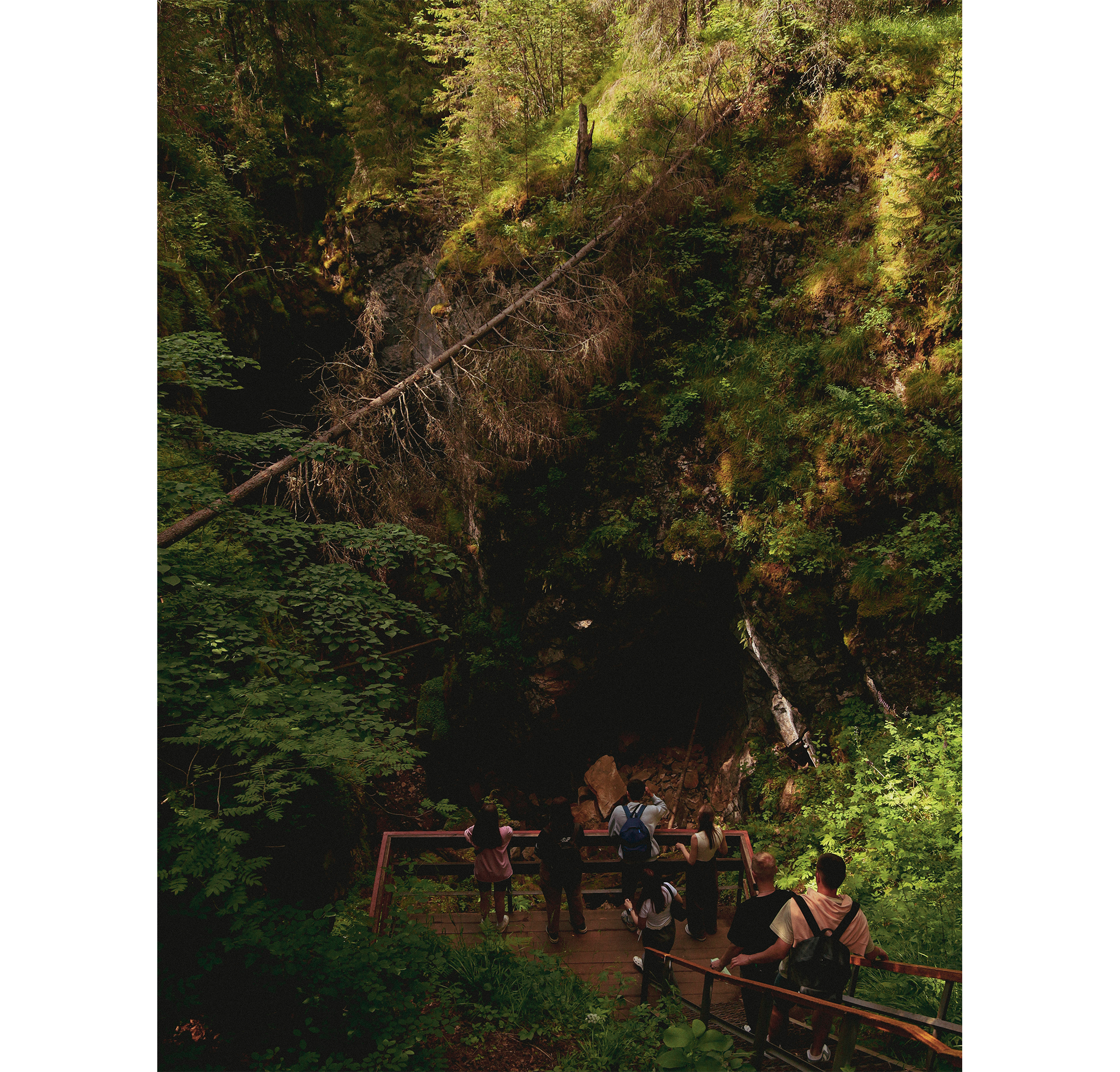 Summer hike. Фотограф/дизайнер в Екатеринбурге Хитрый Дмитрий