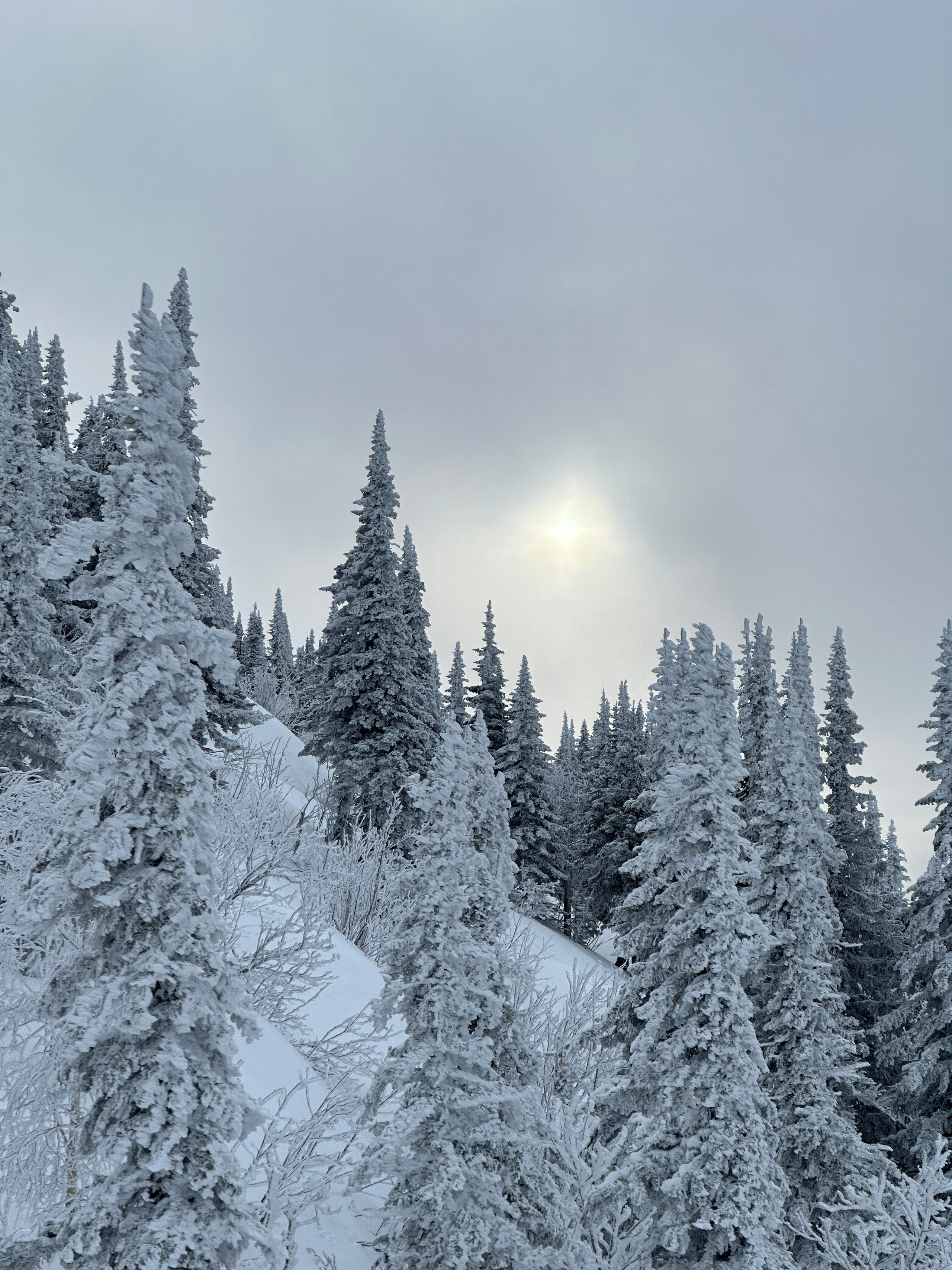 Фото с тура в Шерегеш — Время Приключений