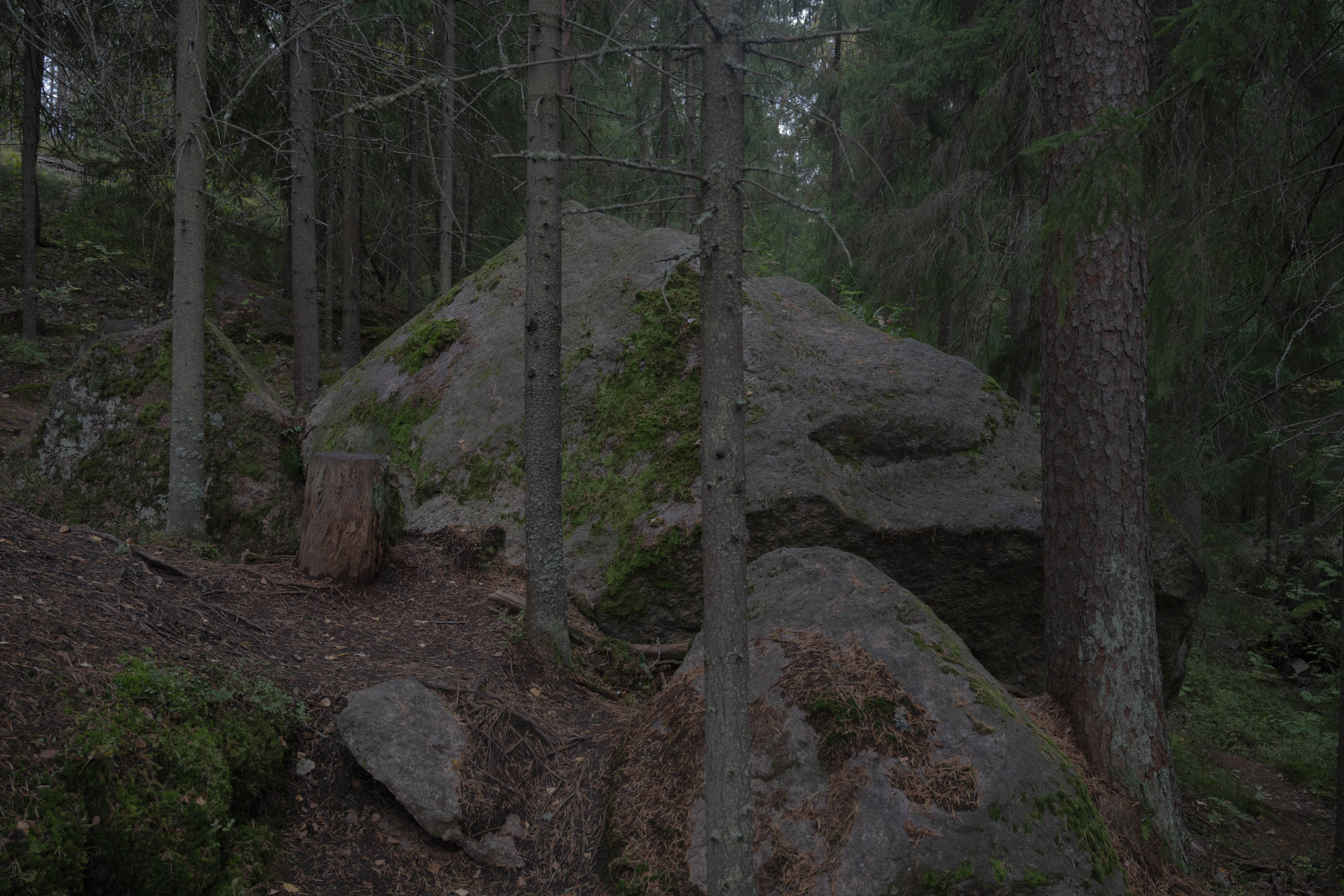 Monrepos. Shyjungle's Portfolio