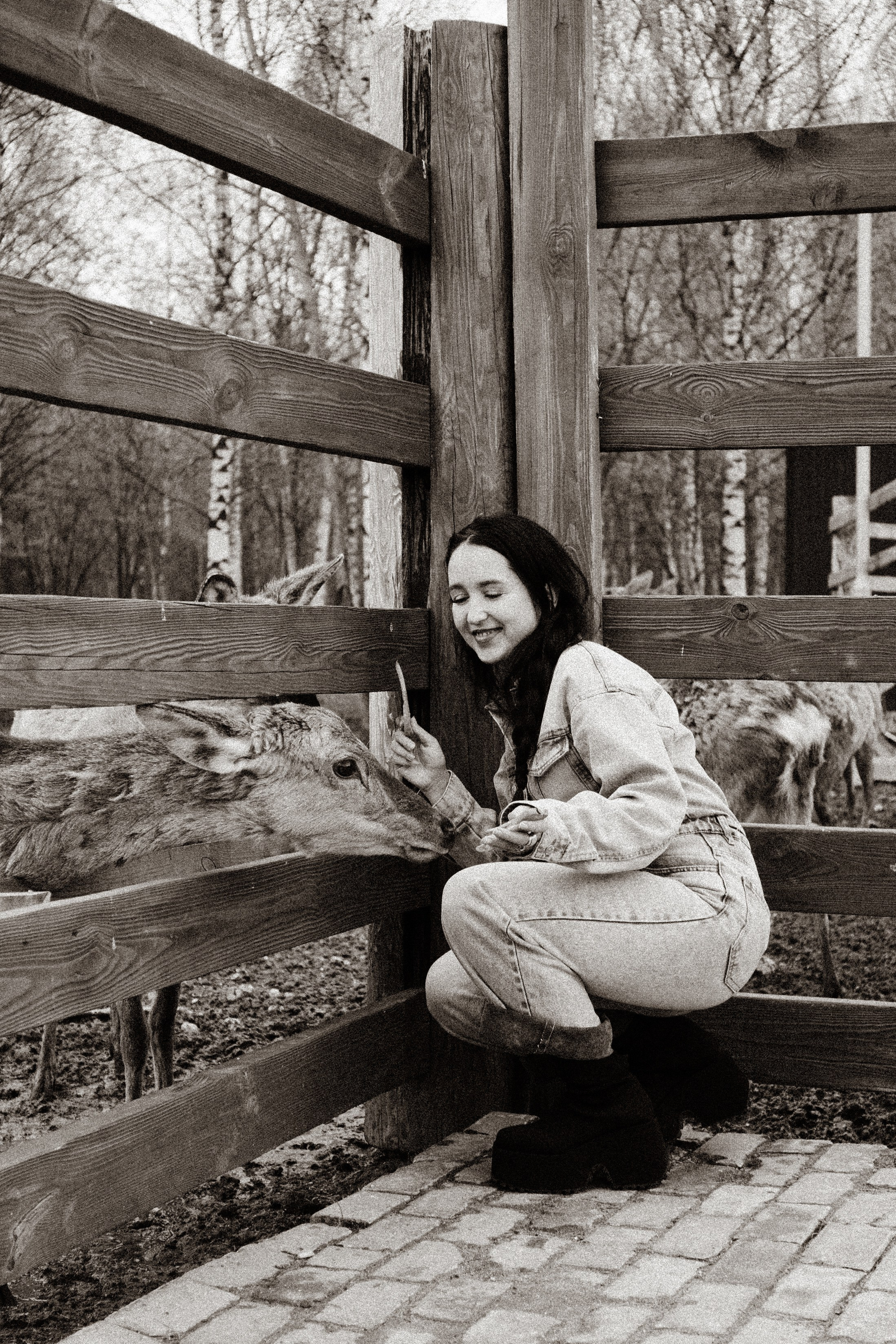 ОЛЕНЬЯ ФЕРМА В ТВЕРИ. Профессиональный фотограф, Санкт-Петербург — Виктория Богомолова