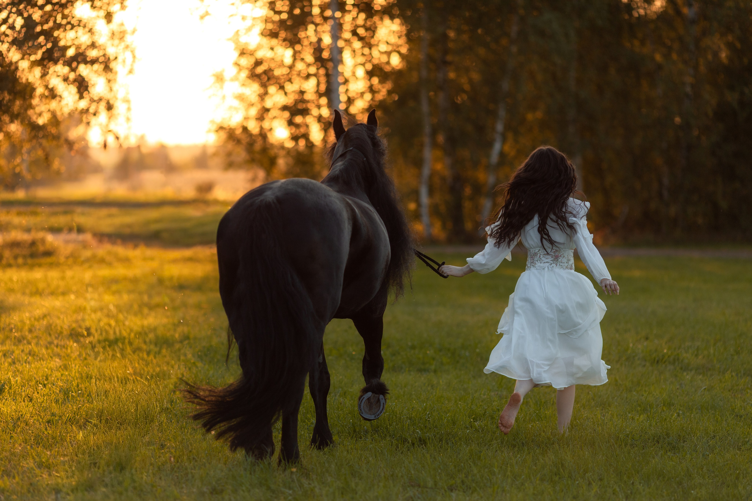 Фотосессия с лошадьми на закате. Фотосессии с лошадьми в Москве от Конный фотографа Кутейниковой Светланы