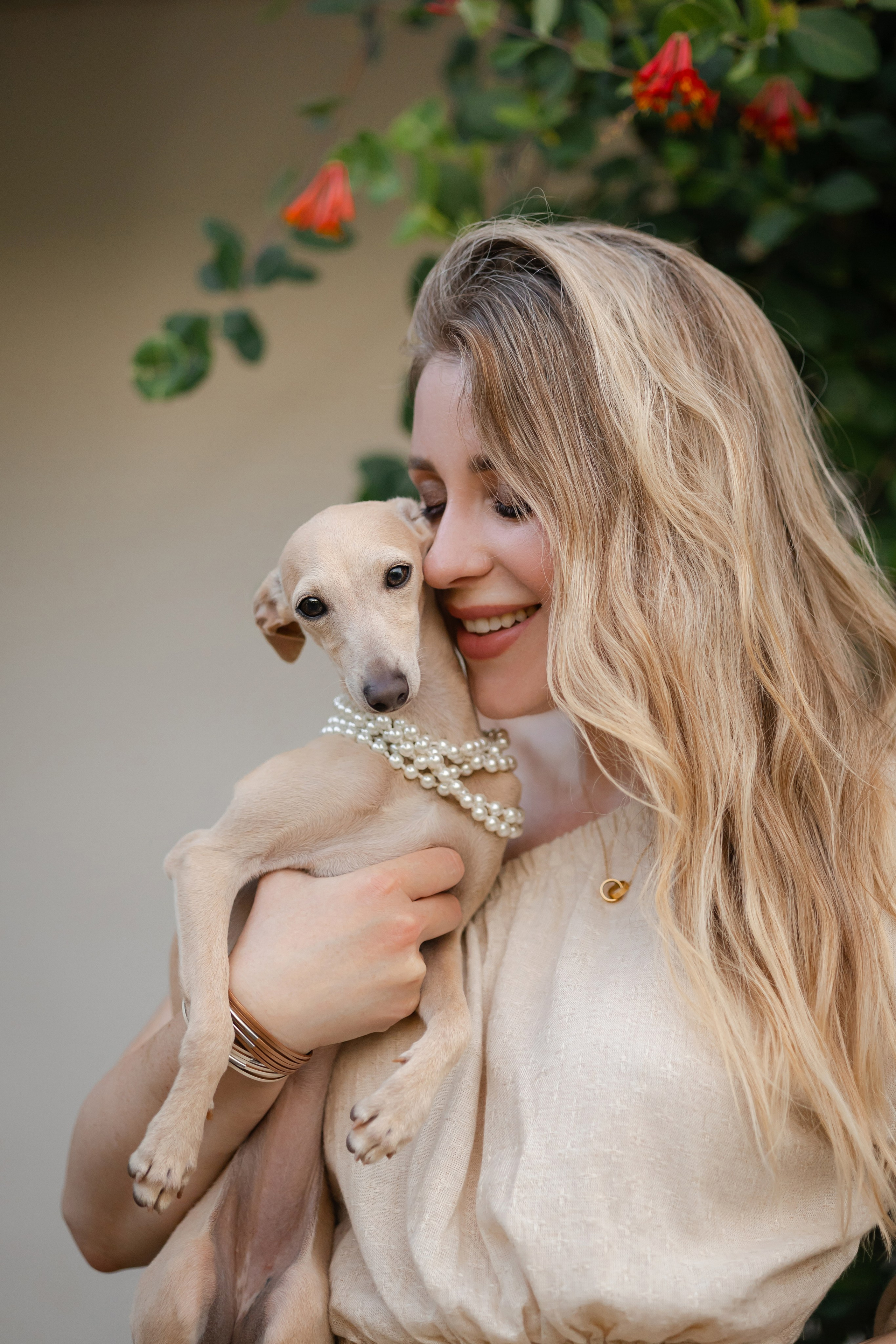 Asti Sapphire Adriana. Профессиональный питомник левреток РКФ/FCI ASTI SAPPHIRE 💎 Сочи|Санкт-Петербург