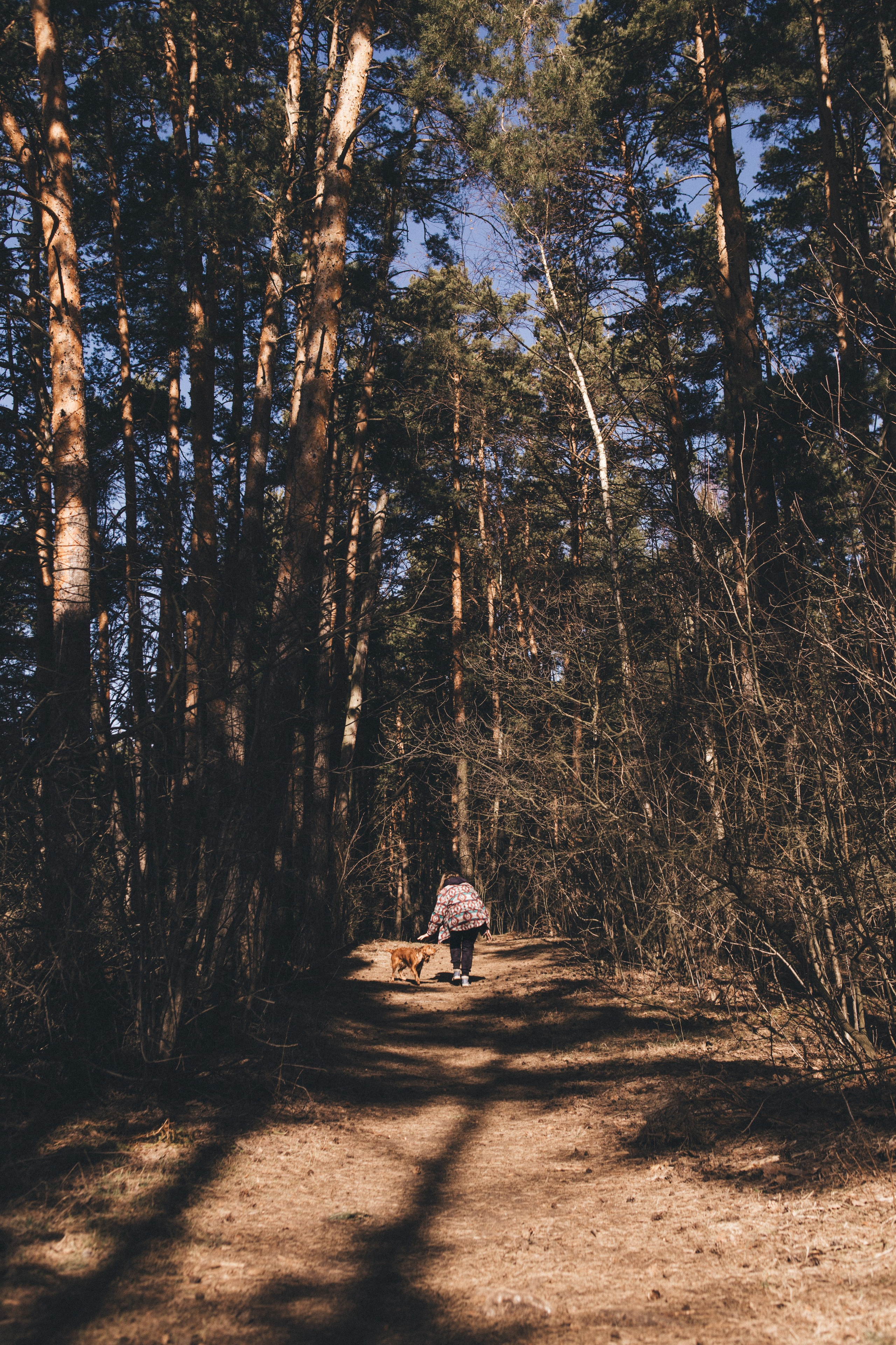Julia & Jessie. Portrait, family and pet photographer in Cyprus, Ksenia Bourdelle