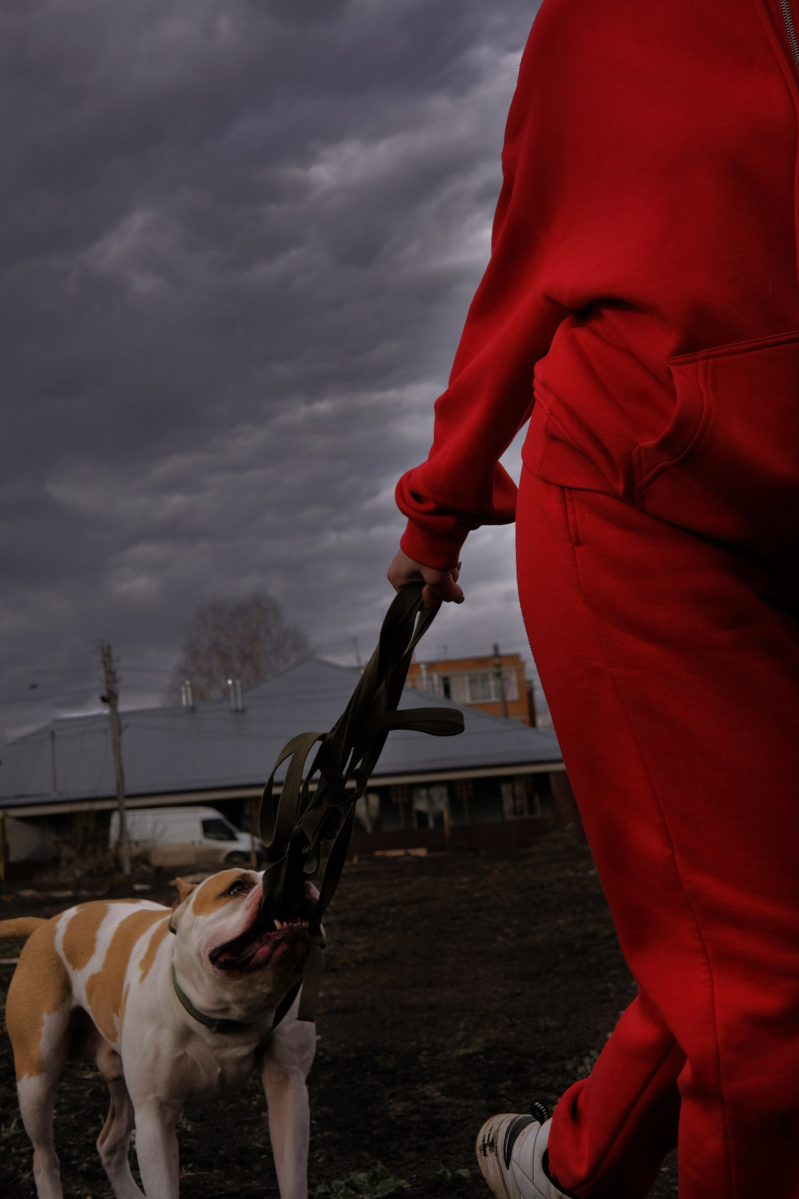 Наталья. Лиза Рязанцева