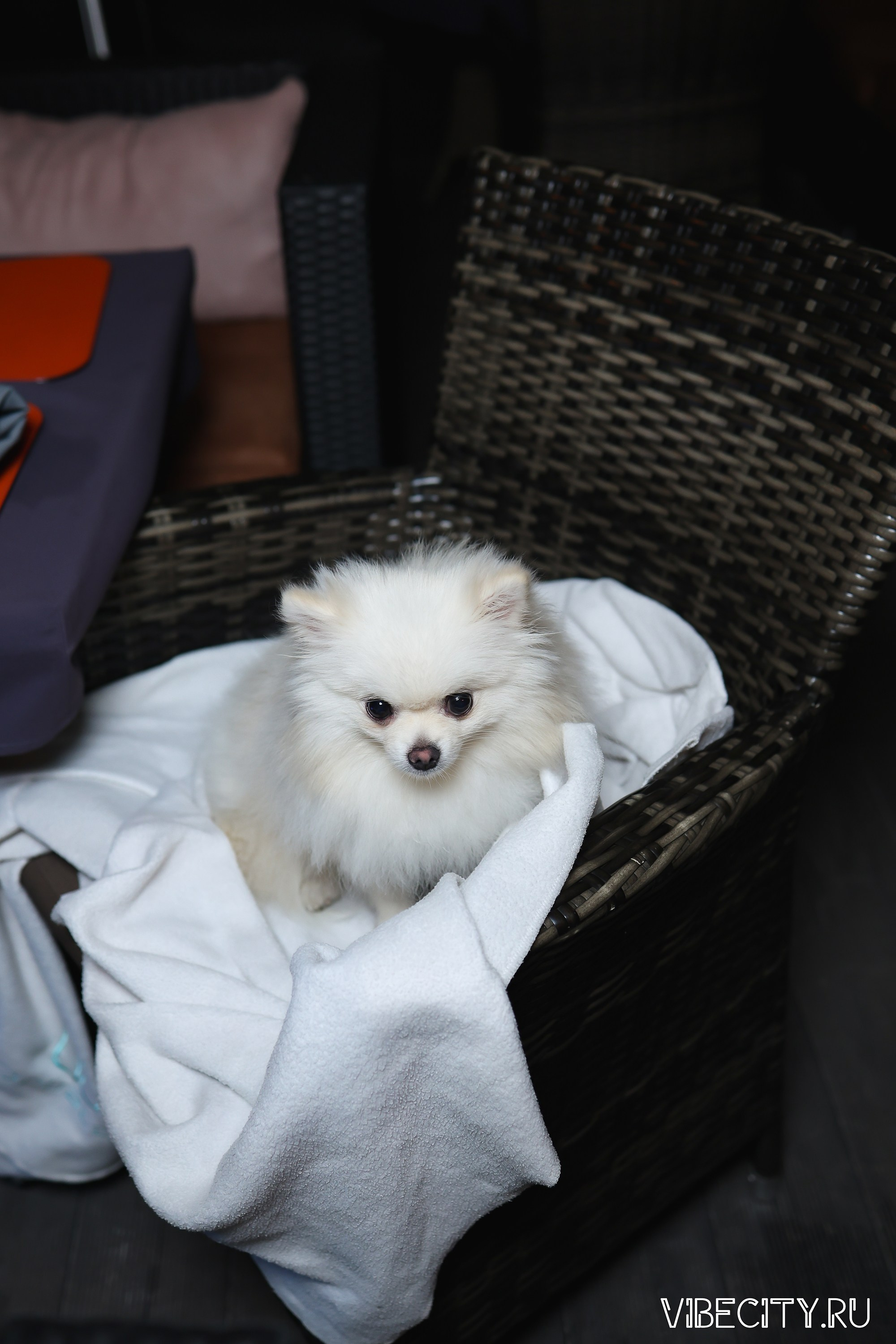 DOUBLE U. VIBECITY.RU Вайб Сити Ру Фоторепортажи Фотоотчеты Калининград