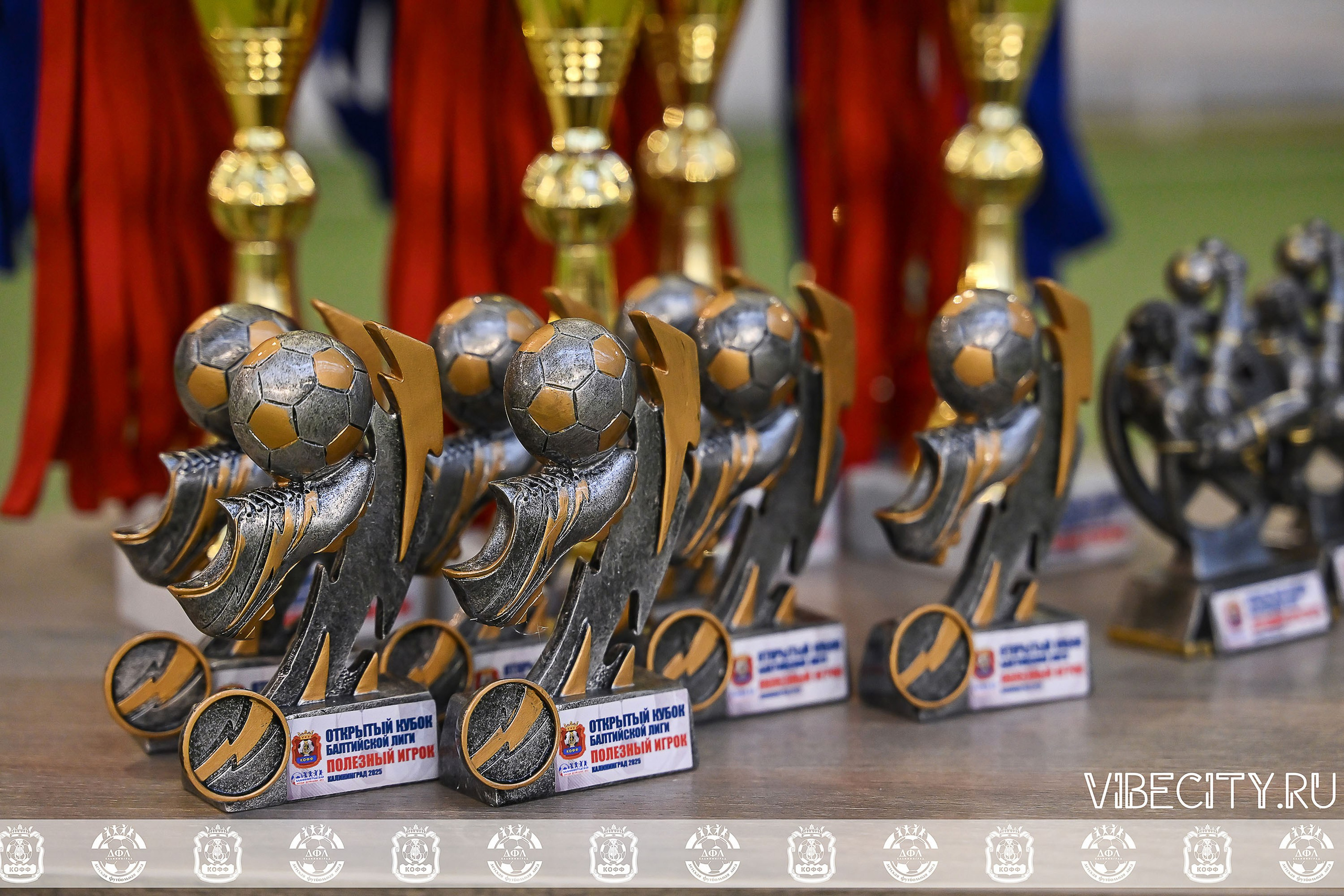 КУБОК БАЛТИЙСКОЙ ЛИГИ U6. VIBECITY.RU Вайб Сити Ру Фоторепортажи Фотоотчеты Калининград