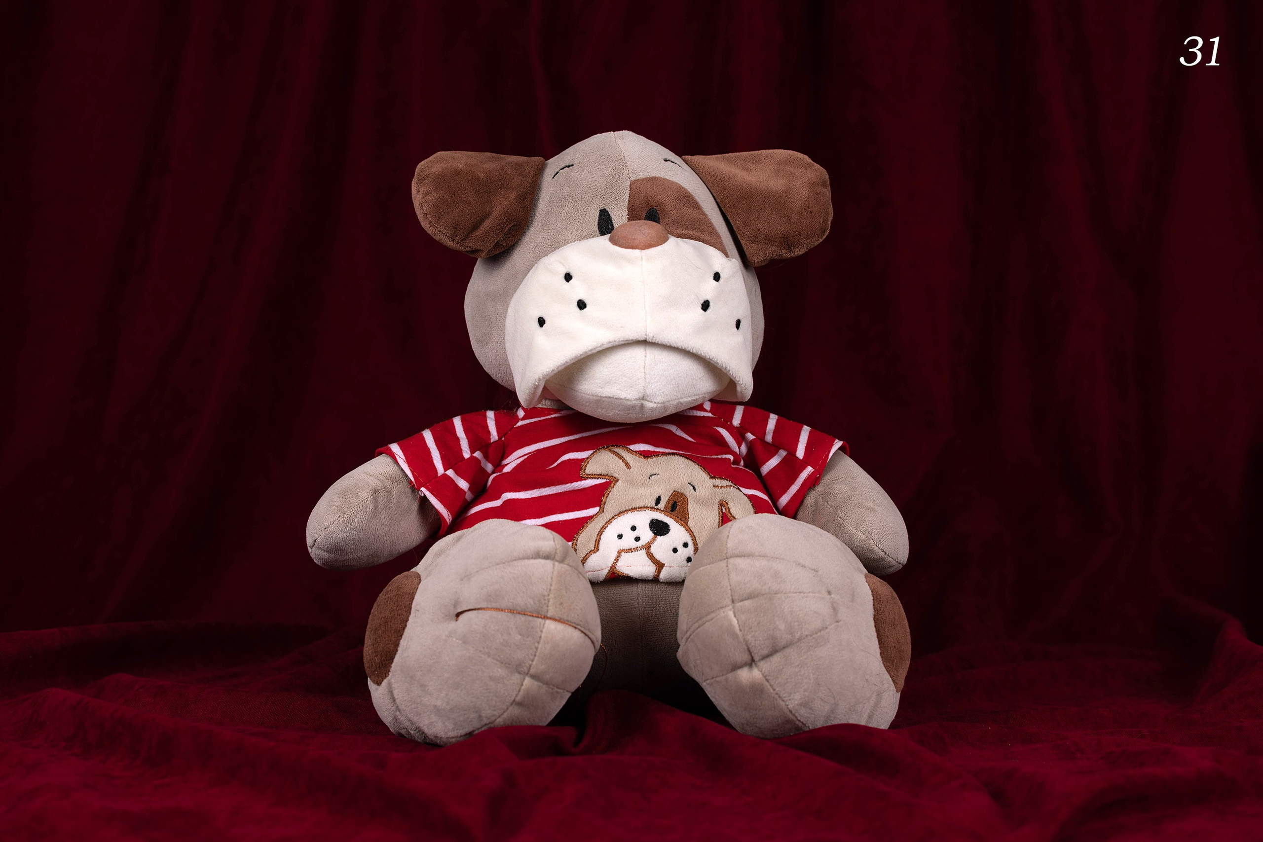 Фоны спектра радуги. Фотограф-анималист в Омске Екатерина Маричева