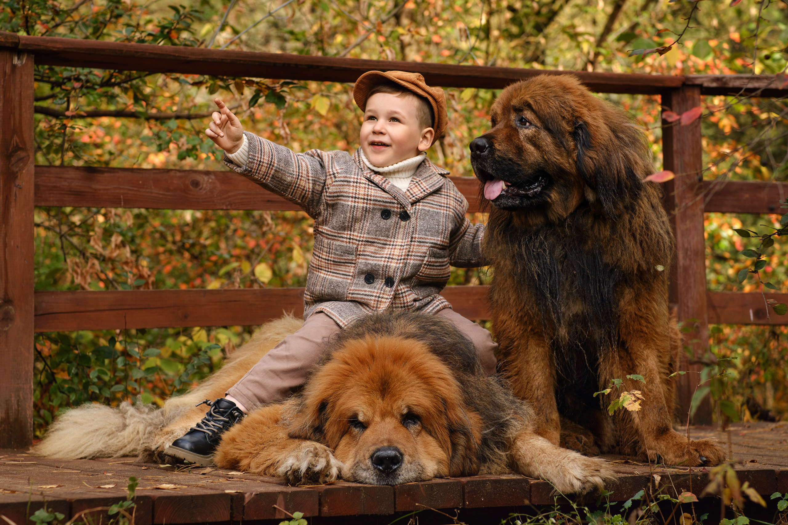 Семья| Дети