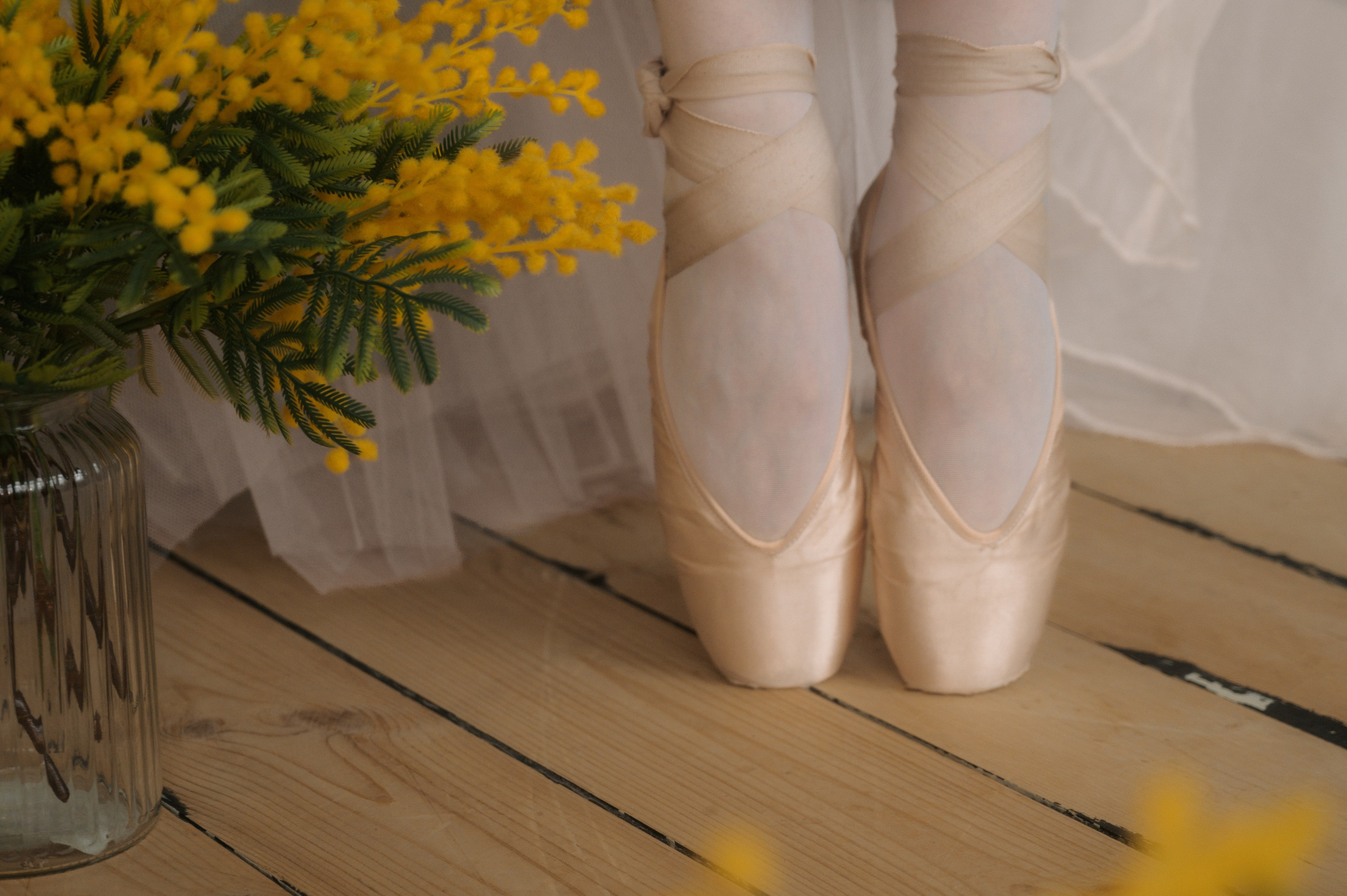 Пуанты и мимоза. Семейный и свадебный фотограф в Самаре