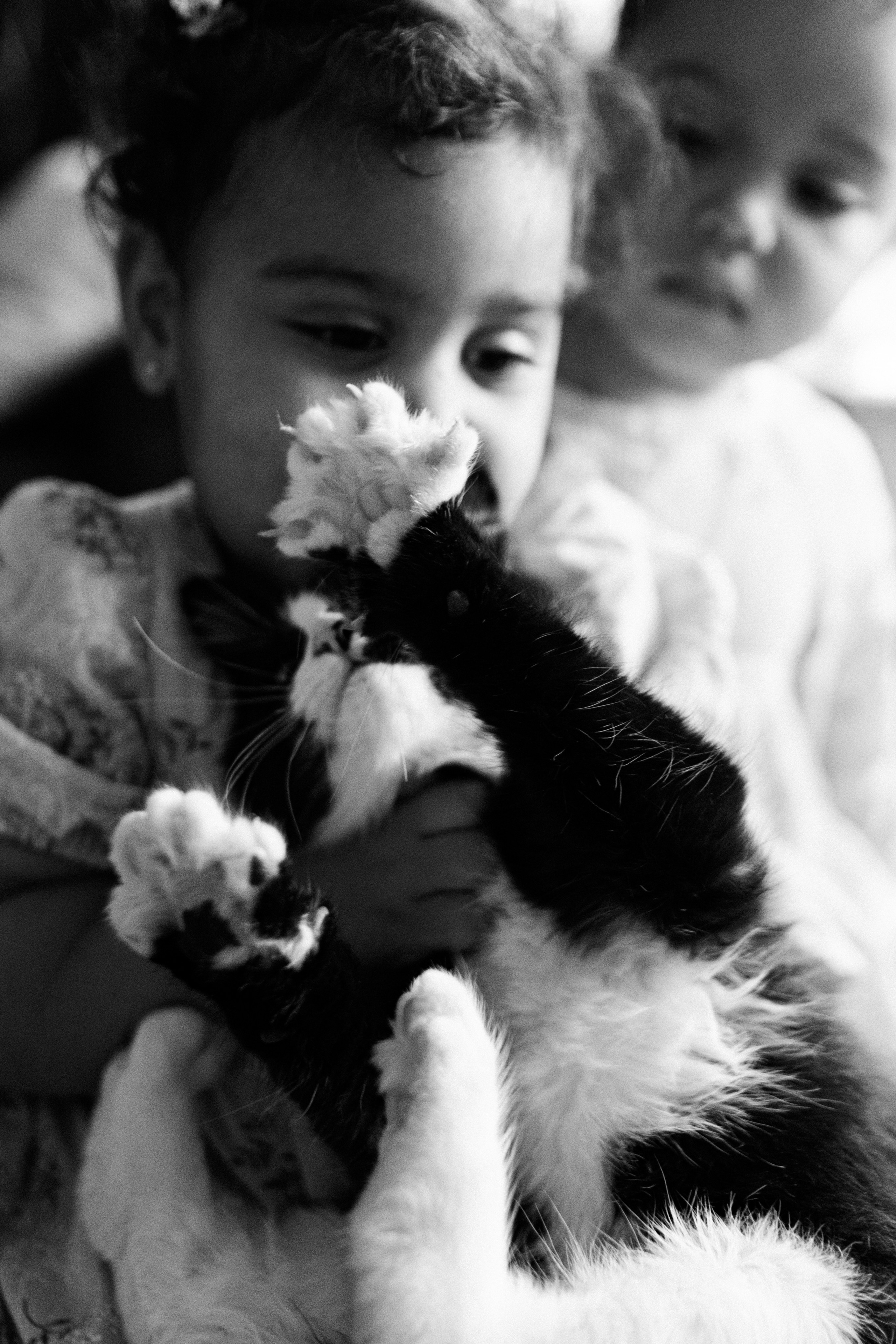 Катя, Рамзес и девочки. Семейный фотограф в Санкт-Петербурге Дарья Косянчук