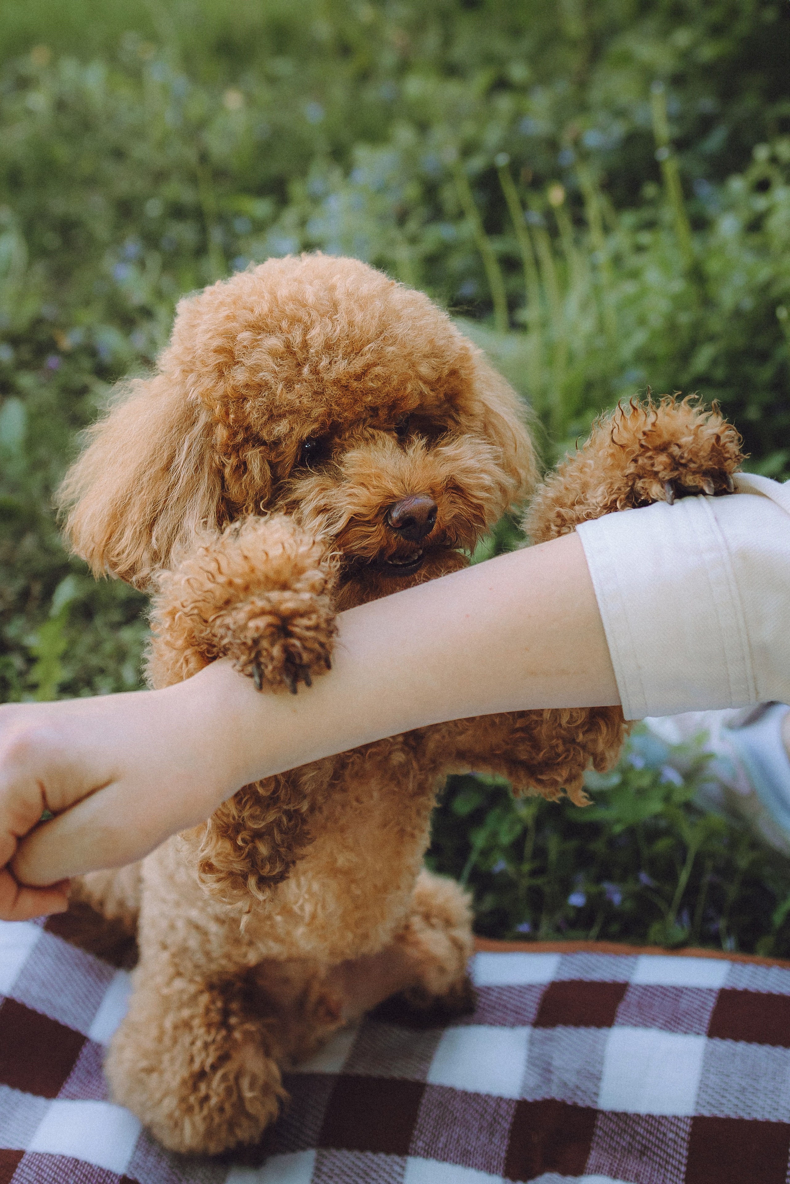 Марья и Буба