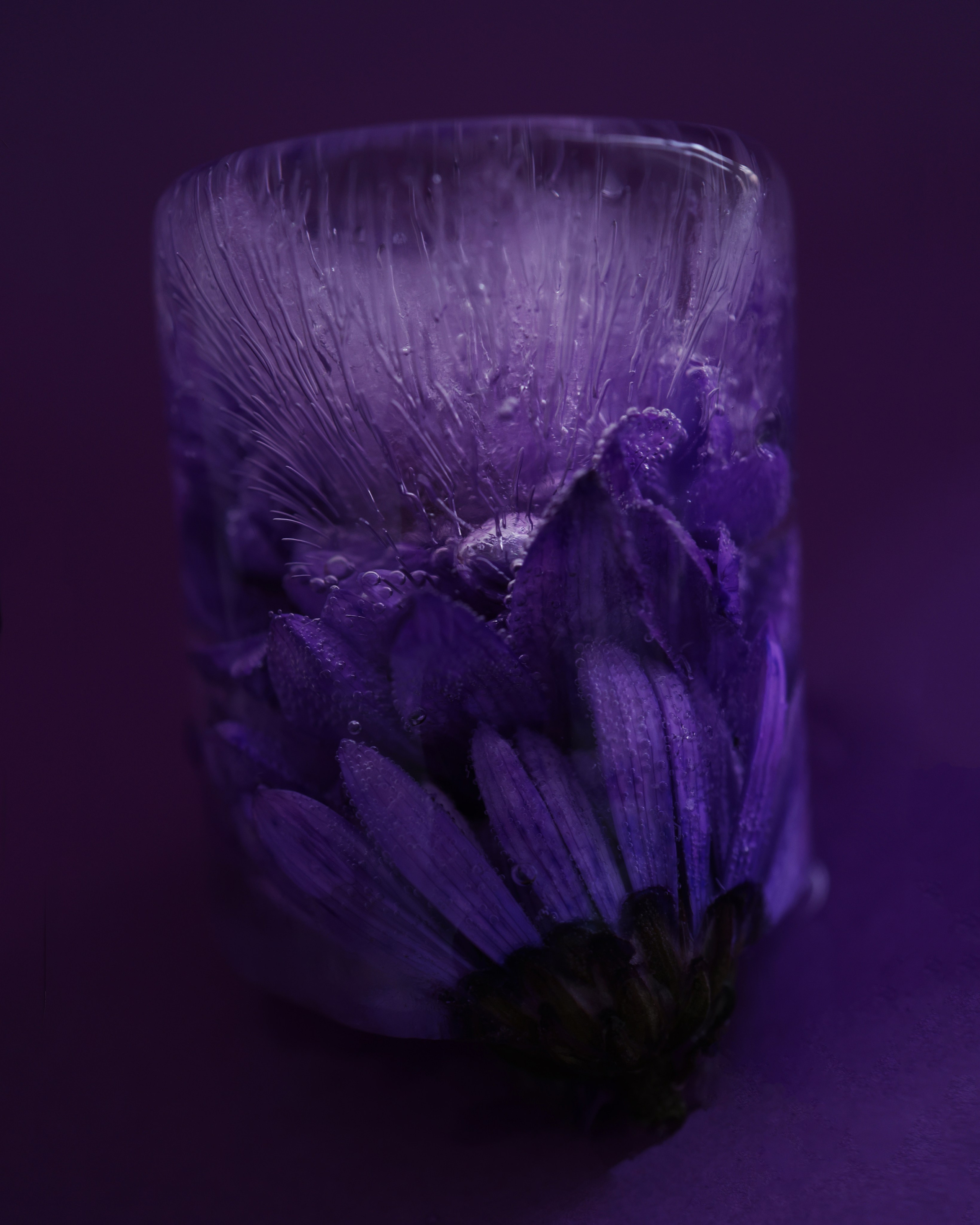 Предметная съемка в Москве. Услуги предметного фотографа