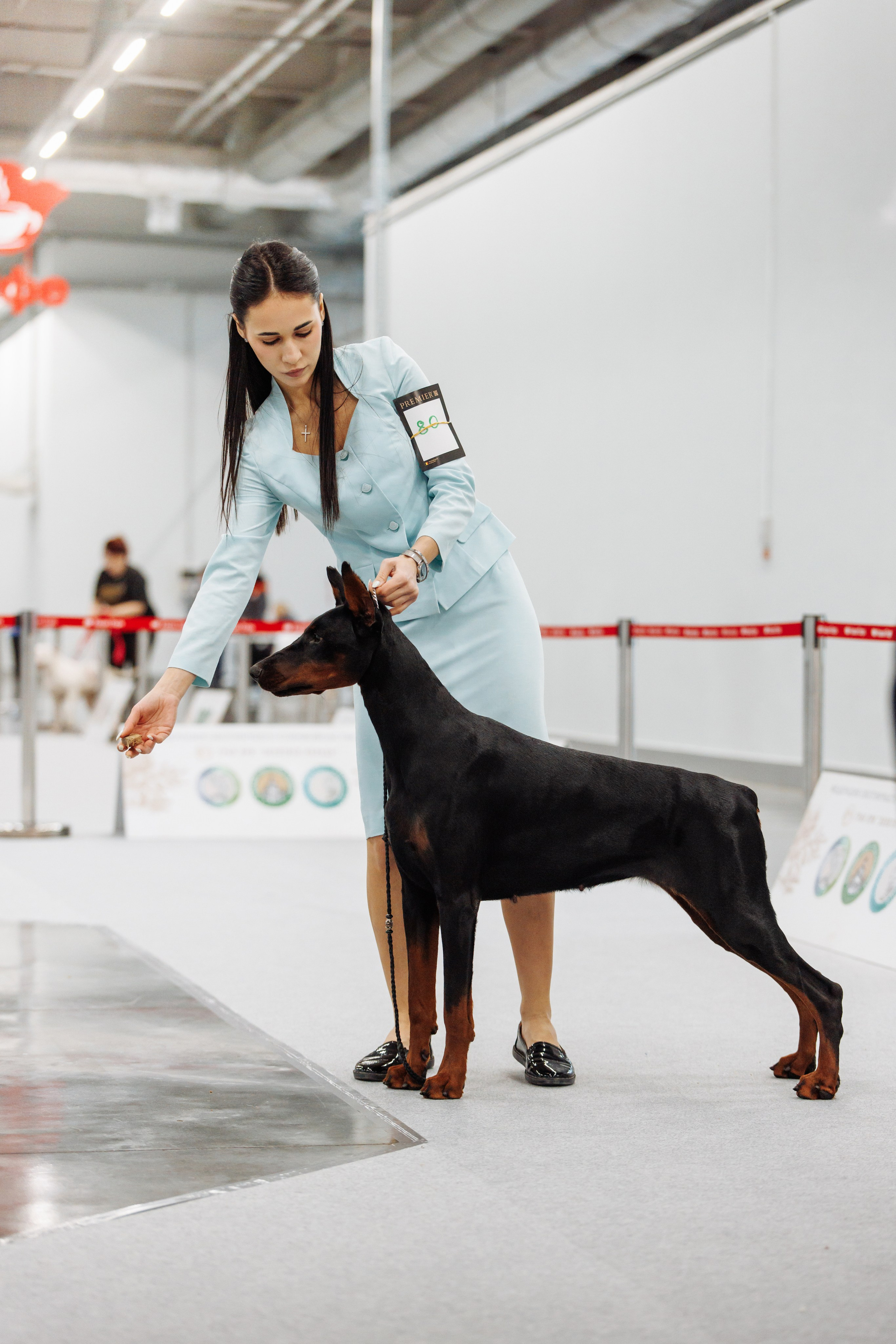 29-30.11.2025 — Казань «Зилант». Фотограф-анималист Саша Вязьмина