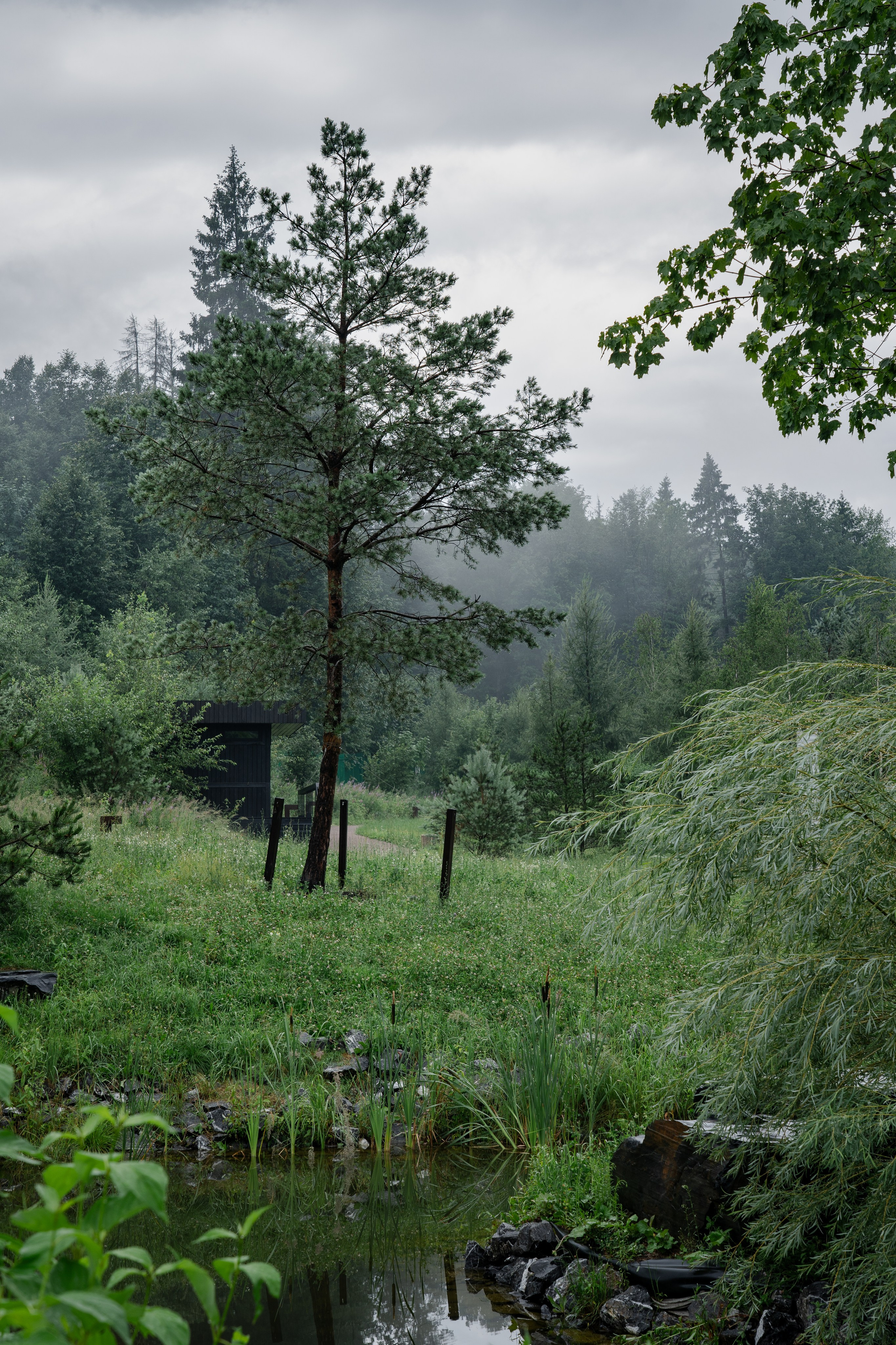 Trailway of health. Артамонов Александр | Архитектурный и ландшафтный фотограф