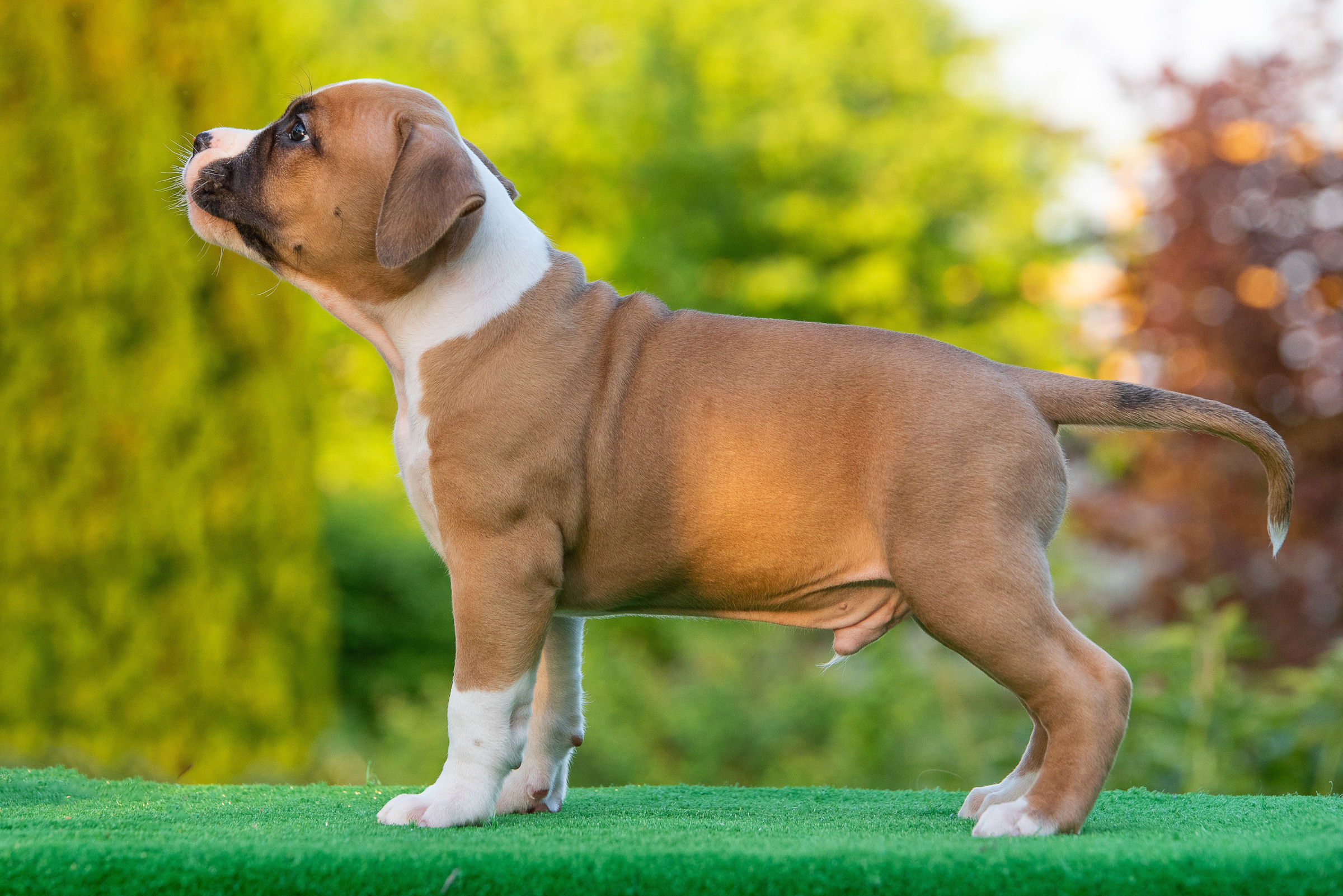 ЖЫВЁЛЫ. Вясельны і партрэтны фатограф Сяргей Клемянок