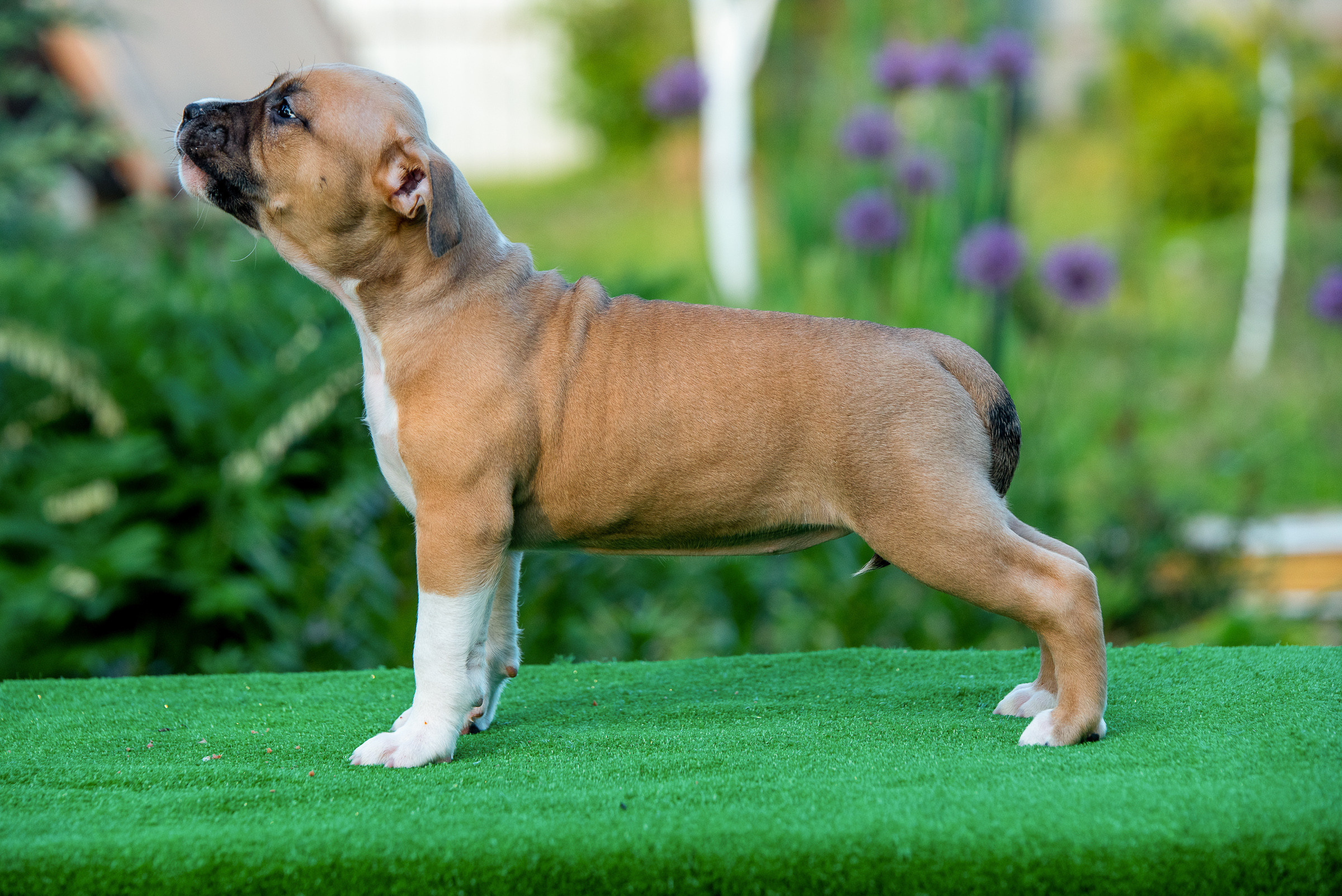 ЖЫВЁЛЫ. Вясельны і партрэтны фатограф Сяргей Клемянок