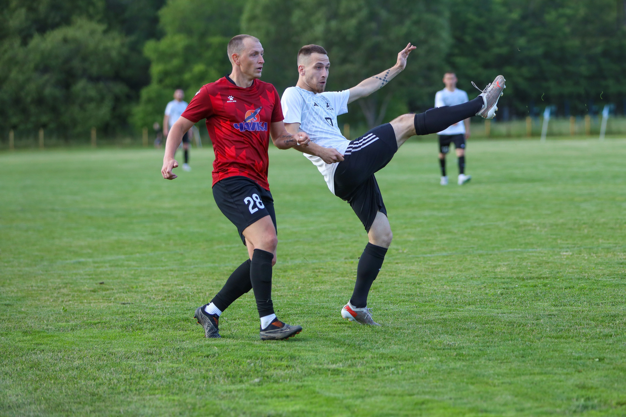 Чайка — Чайка-2. Взрослое первенство города. Спортивный фотограф в Самаре