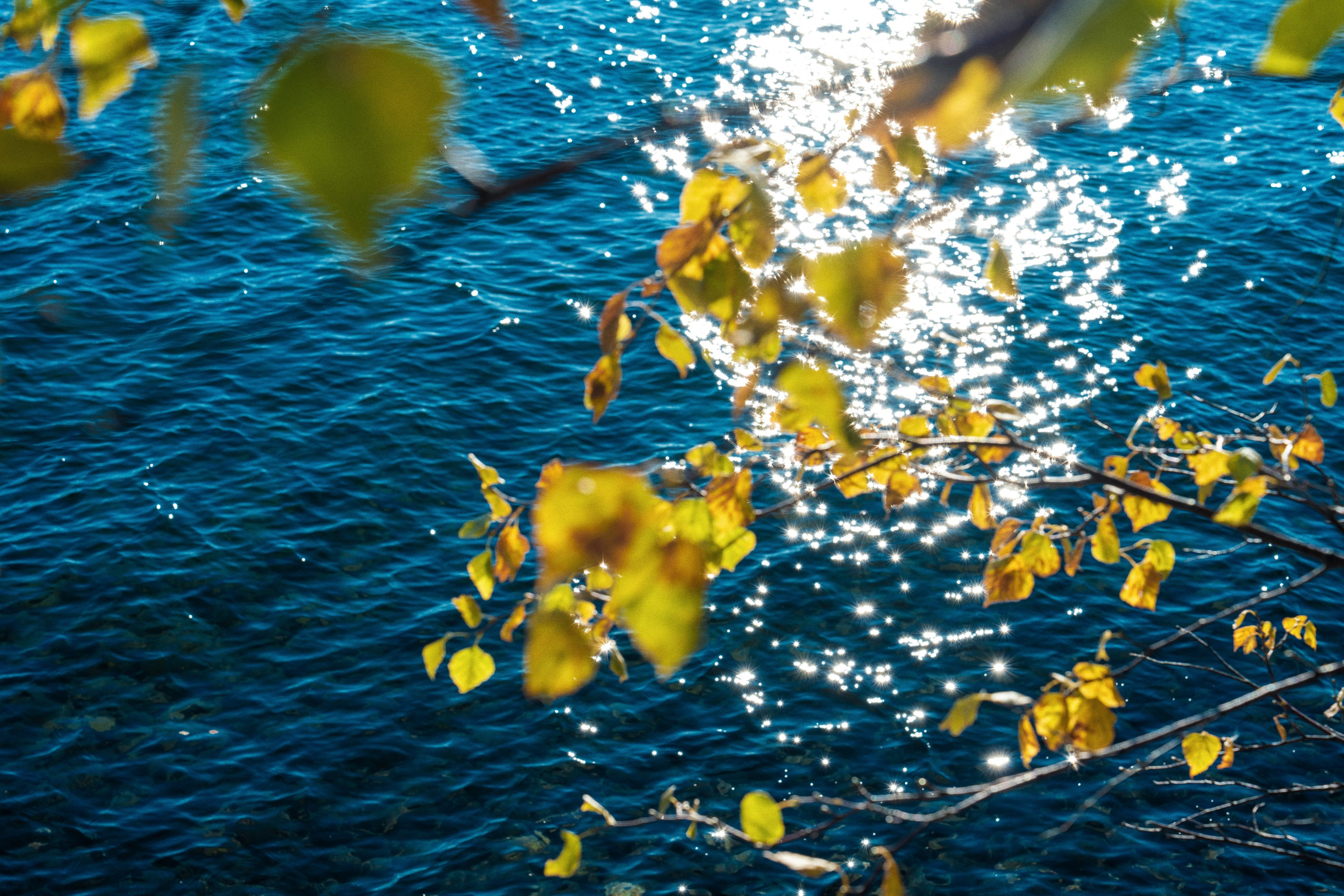 Байкал. Мистические фотосессии в Санкт-Петербурге от мистика Ильи Шенгелия