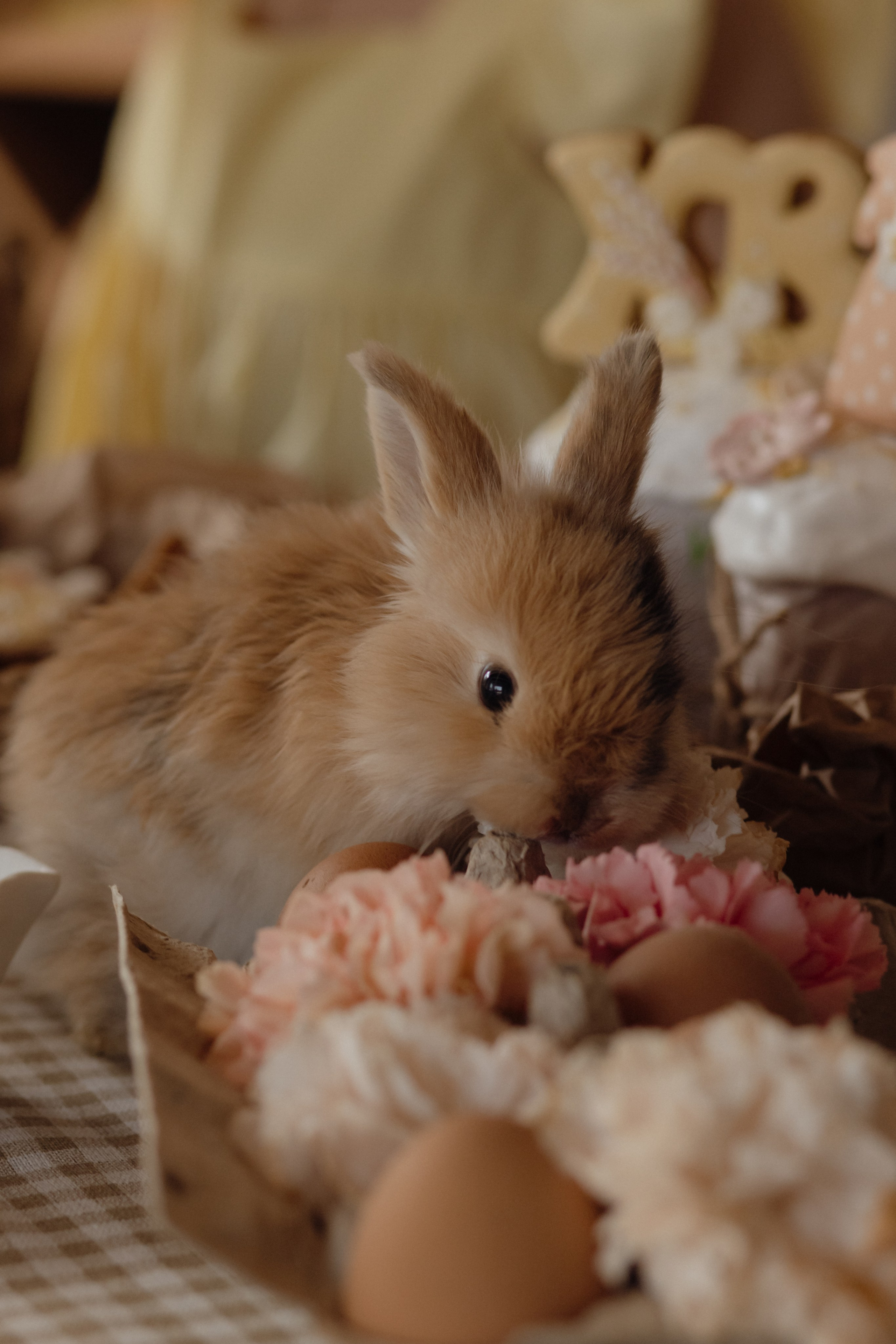 Варвара. Семейный и свадебный фотограф в Челябинске Мария Леонтьева