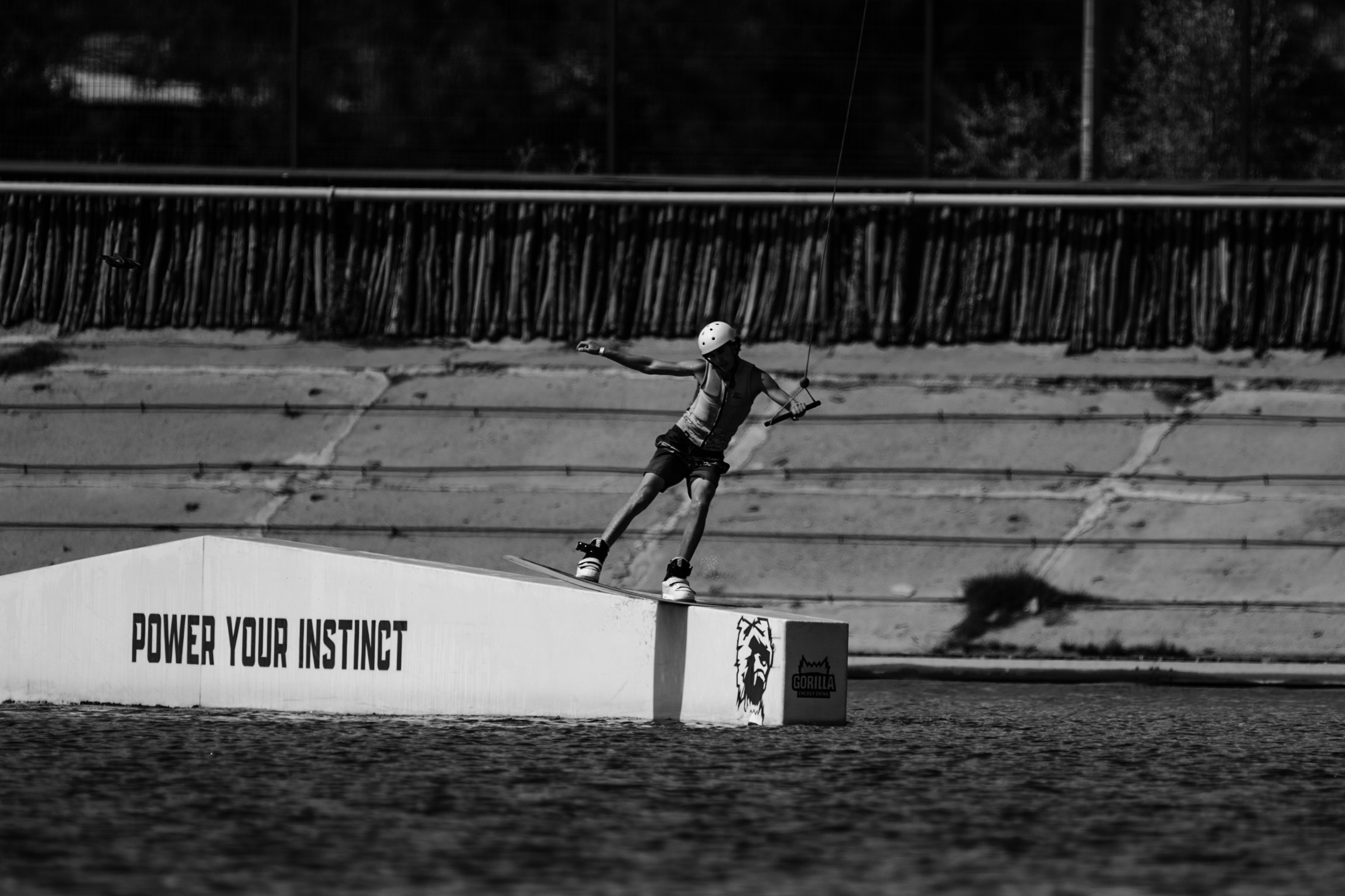 Gorilla WAKE RING CONTEST. Gorillaenergymedia
