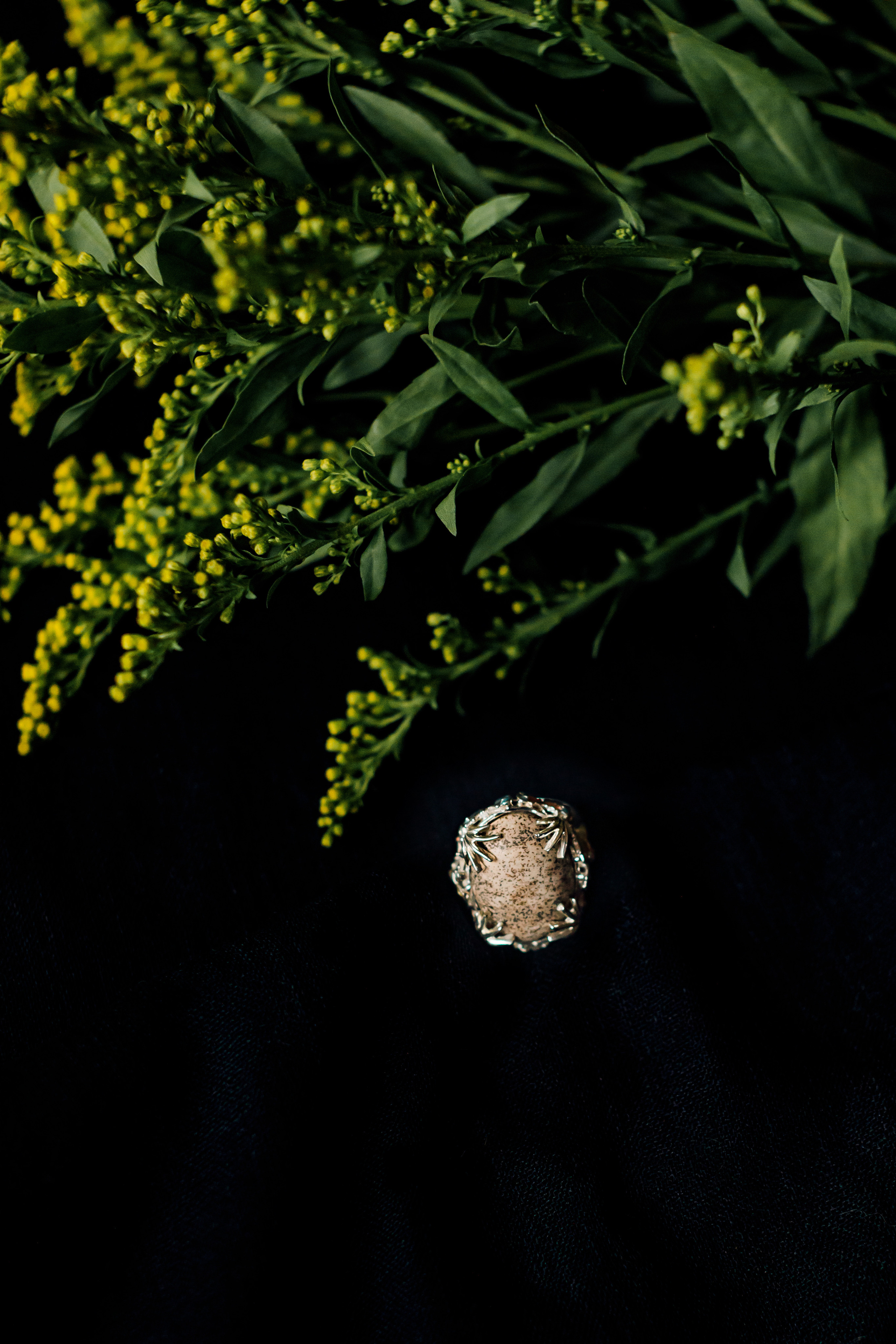 Предметная съемка. Свадебный и семейный фотограф в Москве Евгения Лисина