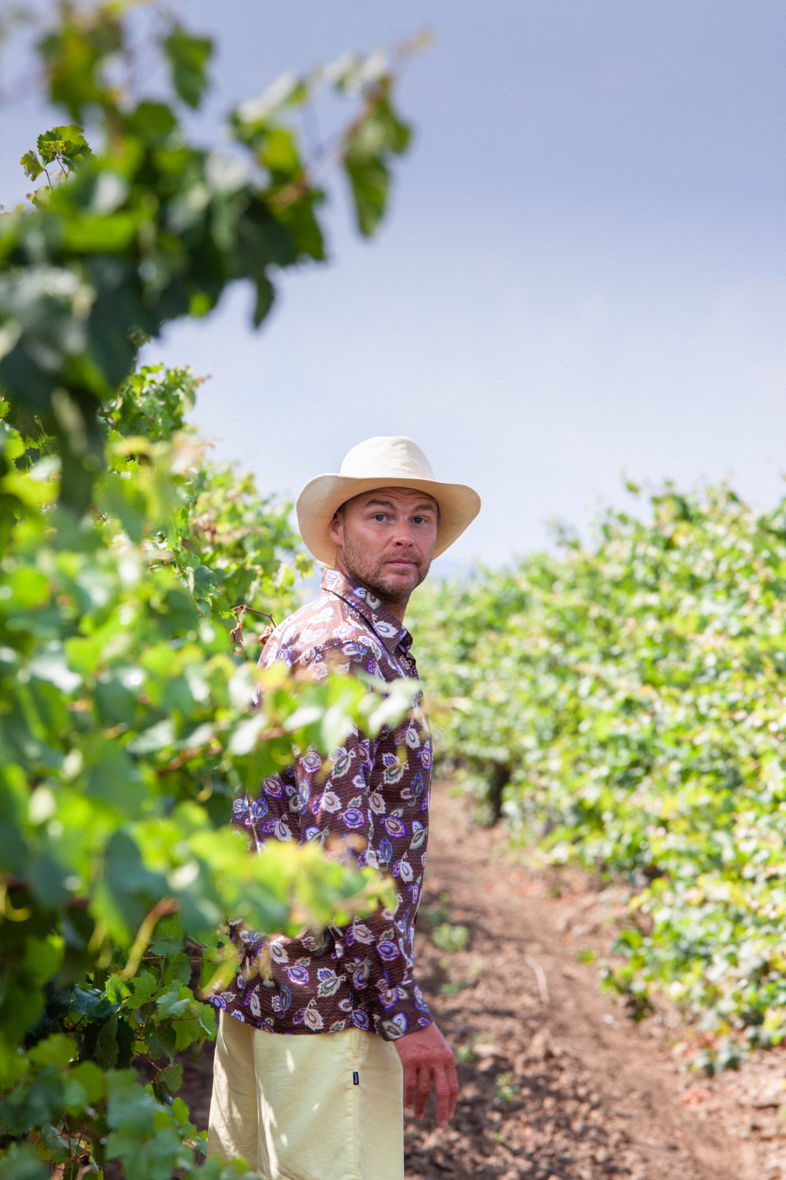 Kuban vineyards. Дария Галямова — фотограф: открытый, творческий, коммерческий