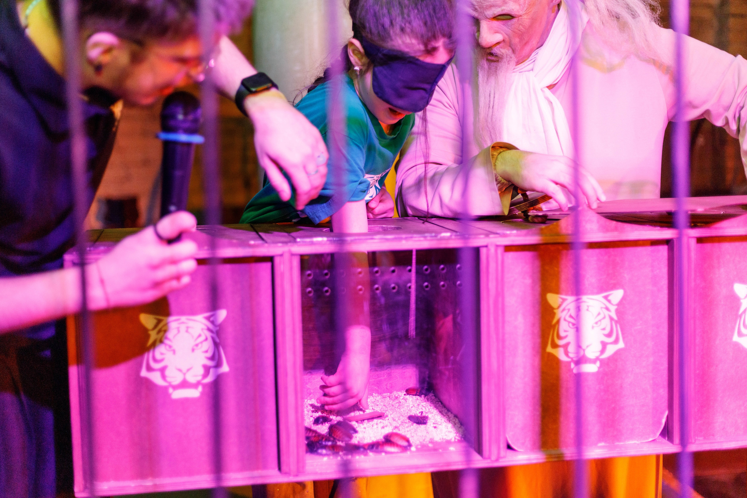 Форт Боярд. Репортажный фотограф в Новосибирске Алена Помазунова