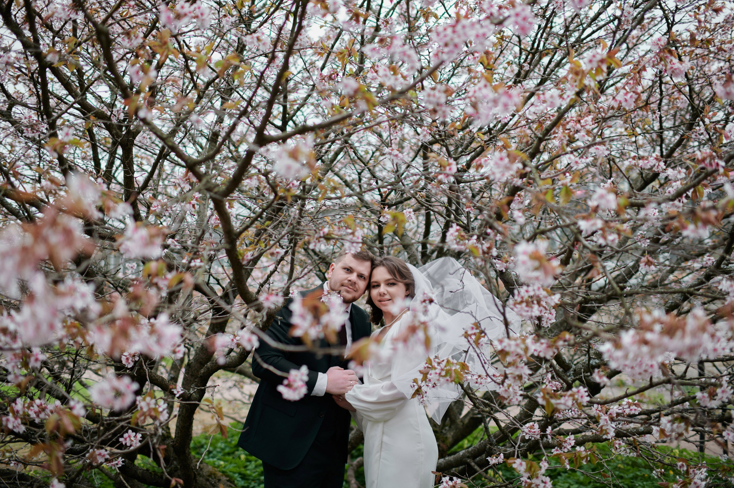 Ксения и Егор (фотосессия в ЗАГСе Петроградского района, Ботаническом саду с сакурой). Портретный, семейный и свадебный фотограф в Санкт-Петербурге и в Пушкине Ширяев Денис