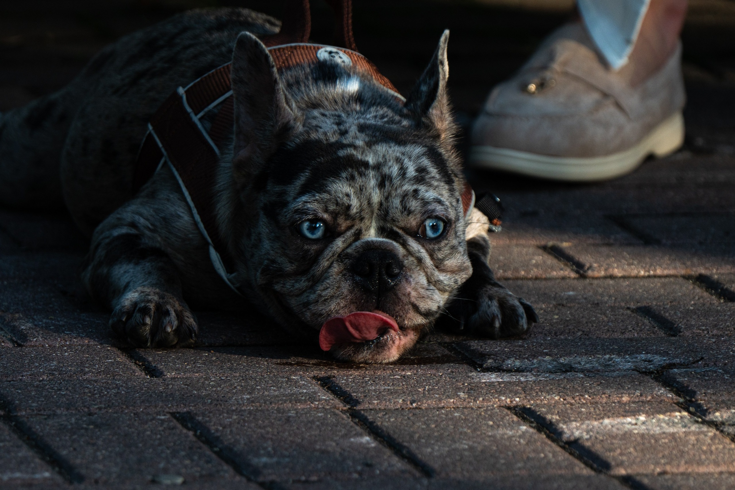 Кольский полуостров. ПОБУДЬ ЗДЕСЬ И ЦЕЛЕЕ БУДЕТ ЭТОТ МИР