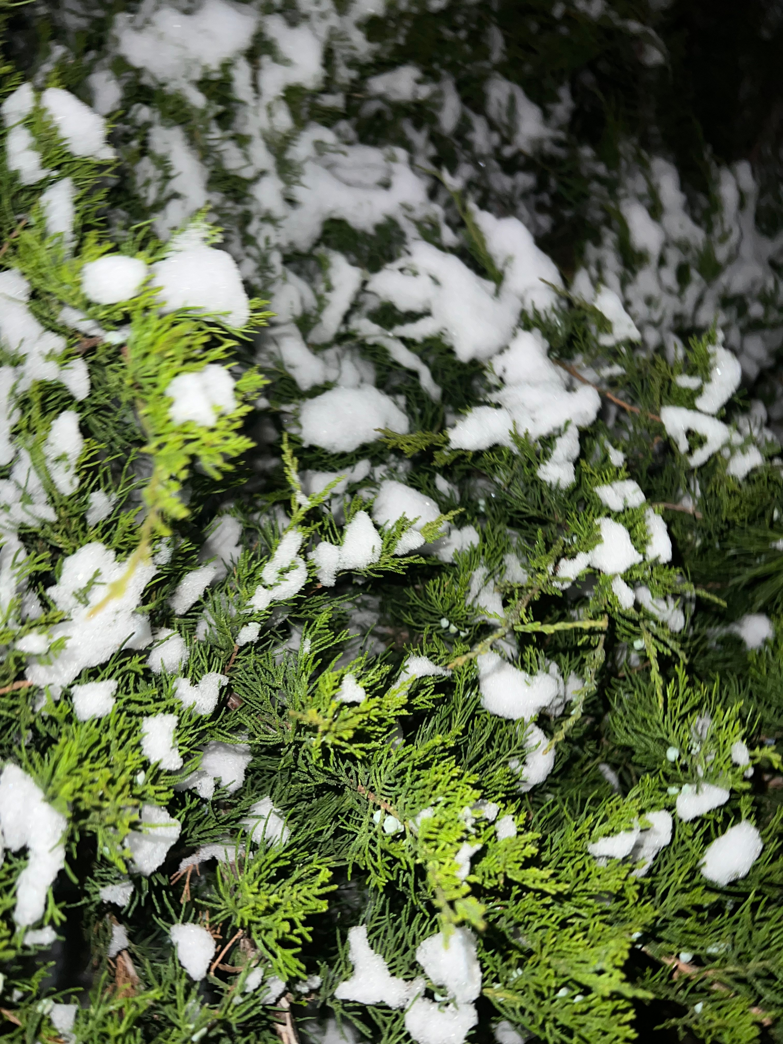 Fragments. Artem Khusainov