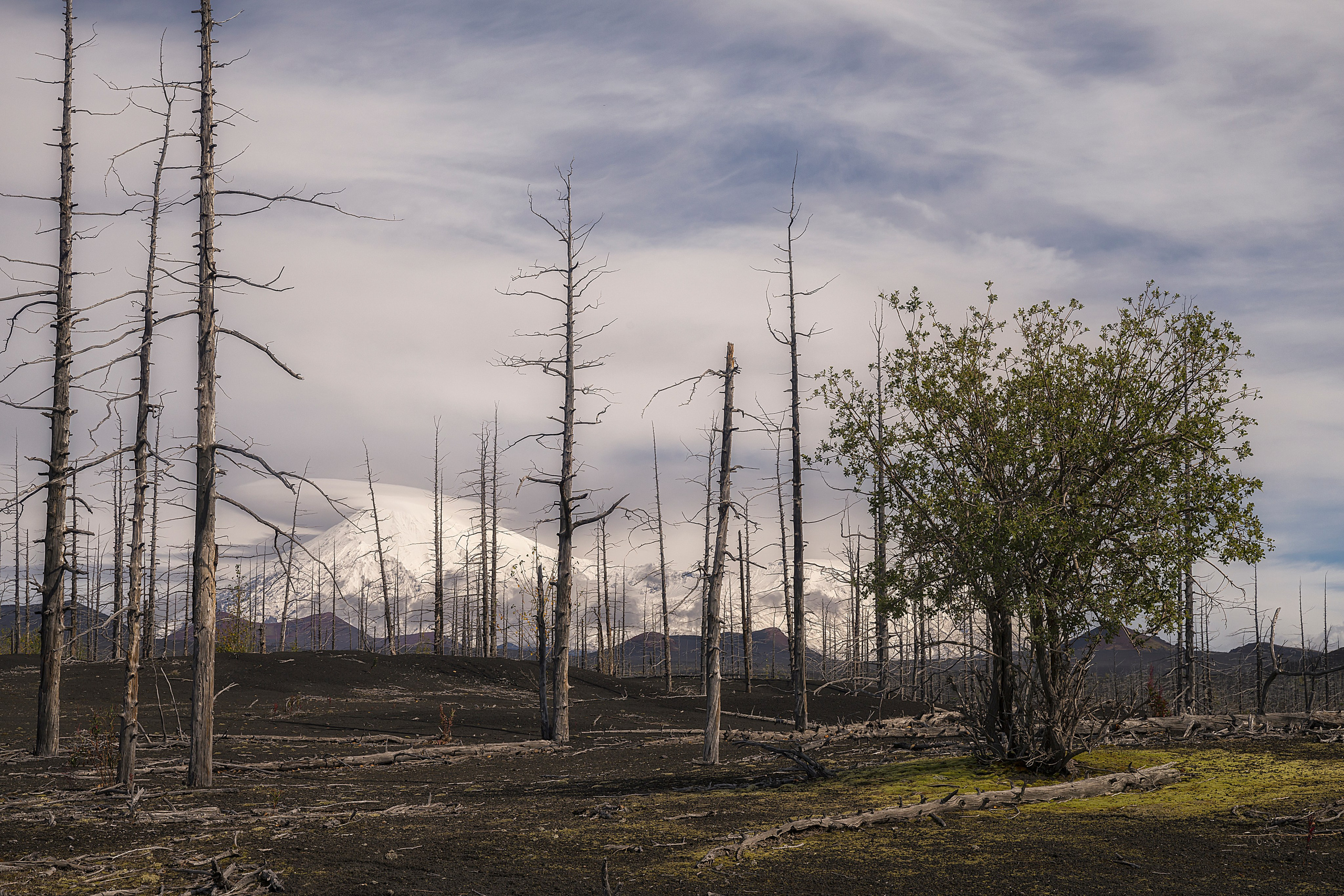 Камчатка. Портретный фотограф в Челябинске Катерина Руди