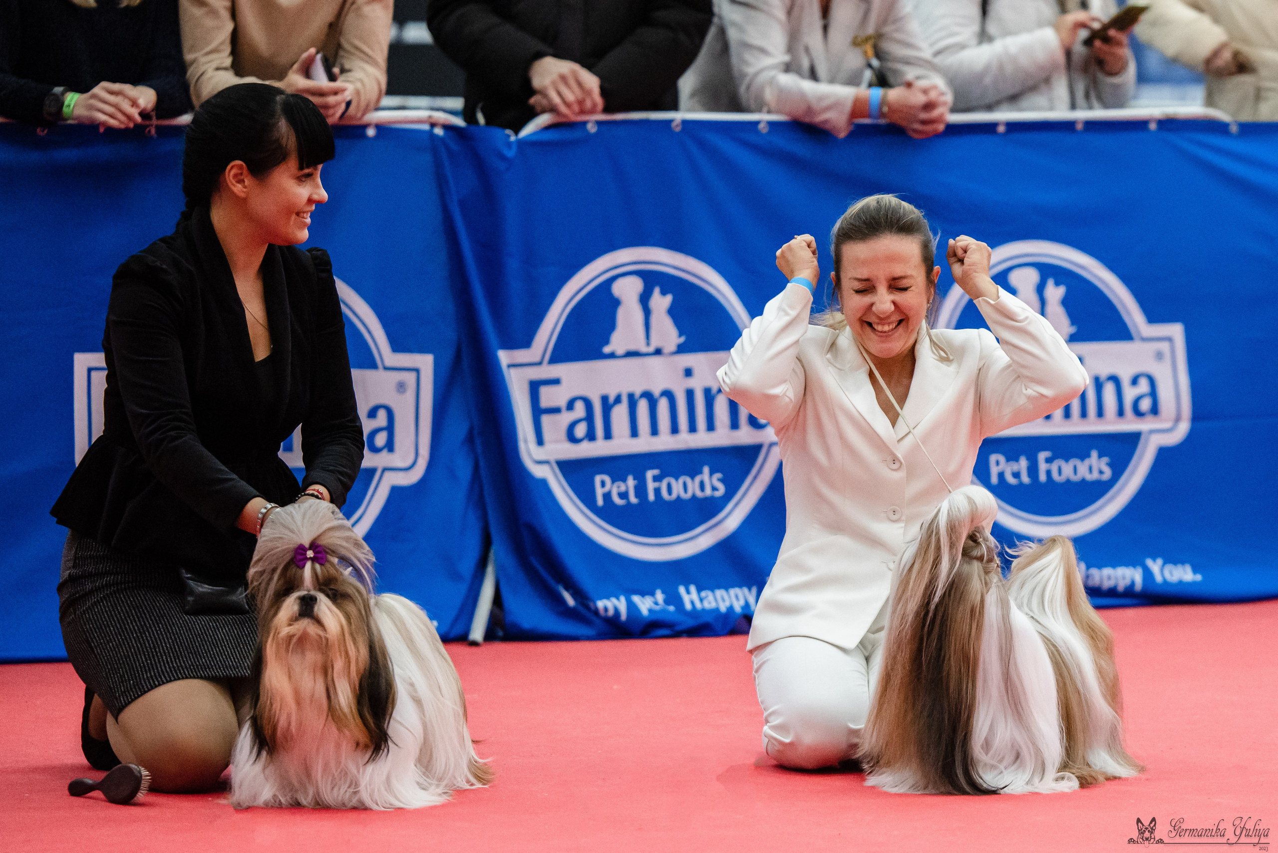 Нижний Новгород 21-22.10.2023. Фотограф-анималист Юлия Германика