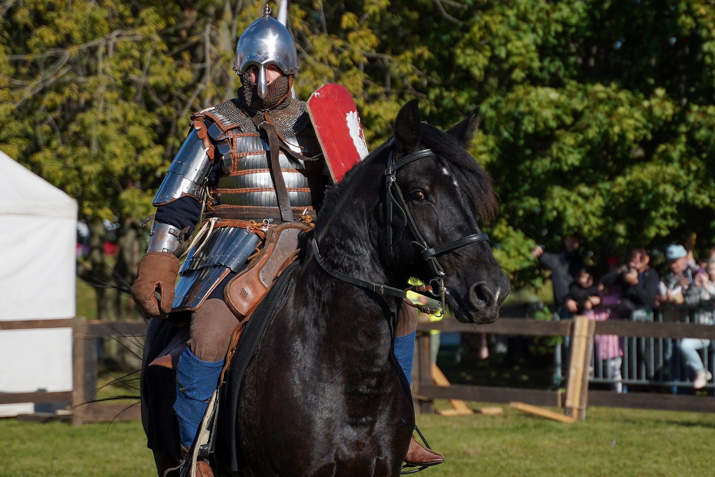 Рыцарский турнир в рамках фестиваля «Битва на Неве» Санкт-Петербург 2024 г. Фотограф-анималист, портретный фотограф в Чебоксарах Мария Садыкова