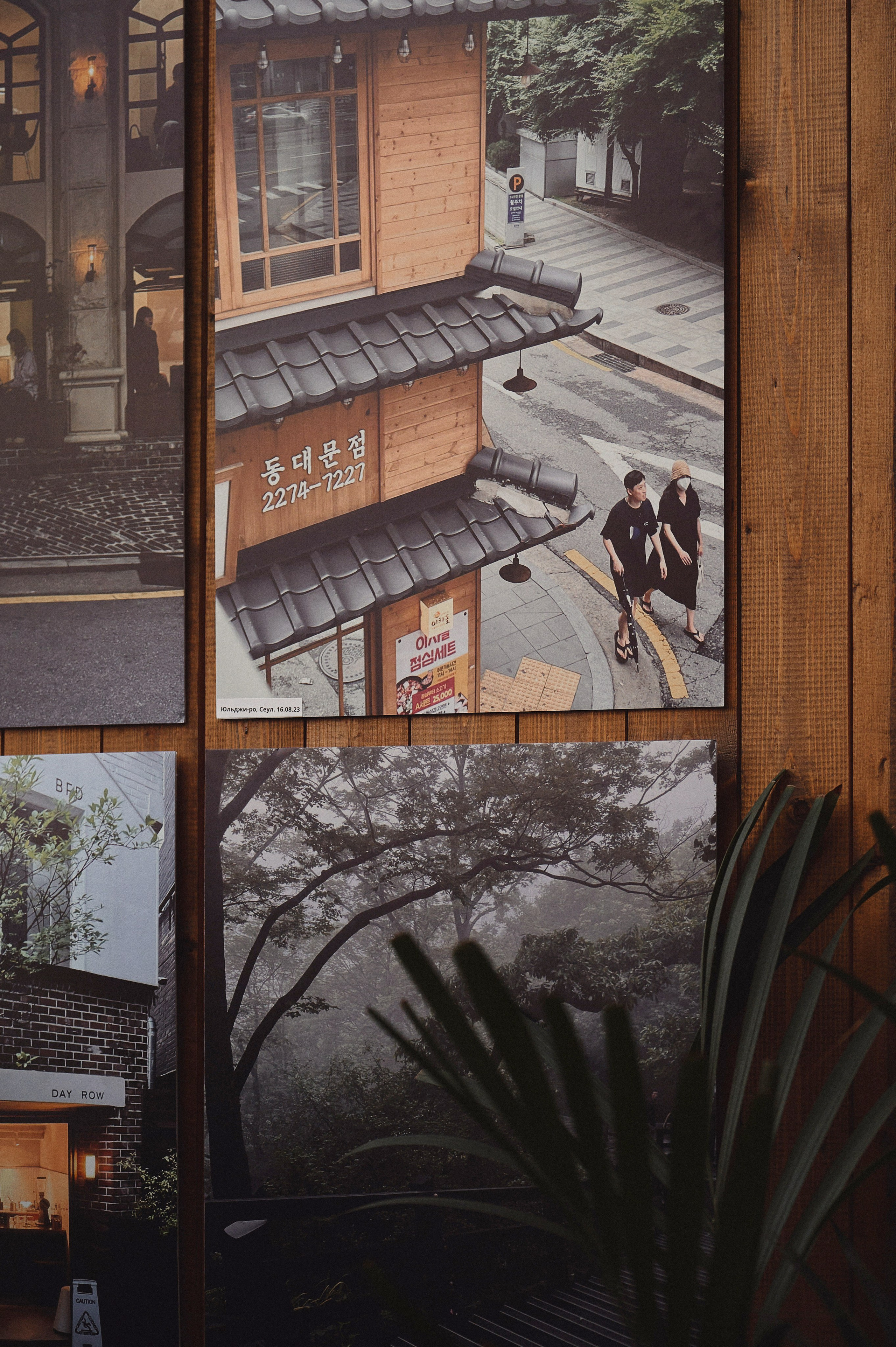 ЧХУСОК. Ваш мультижанровый фотограф Александр Белов