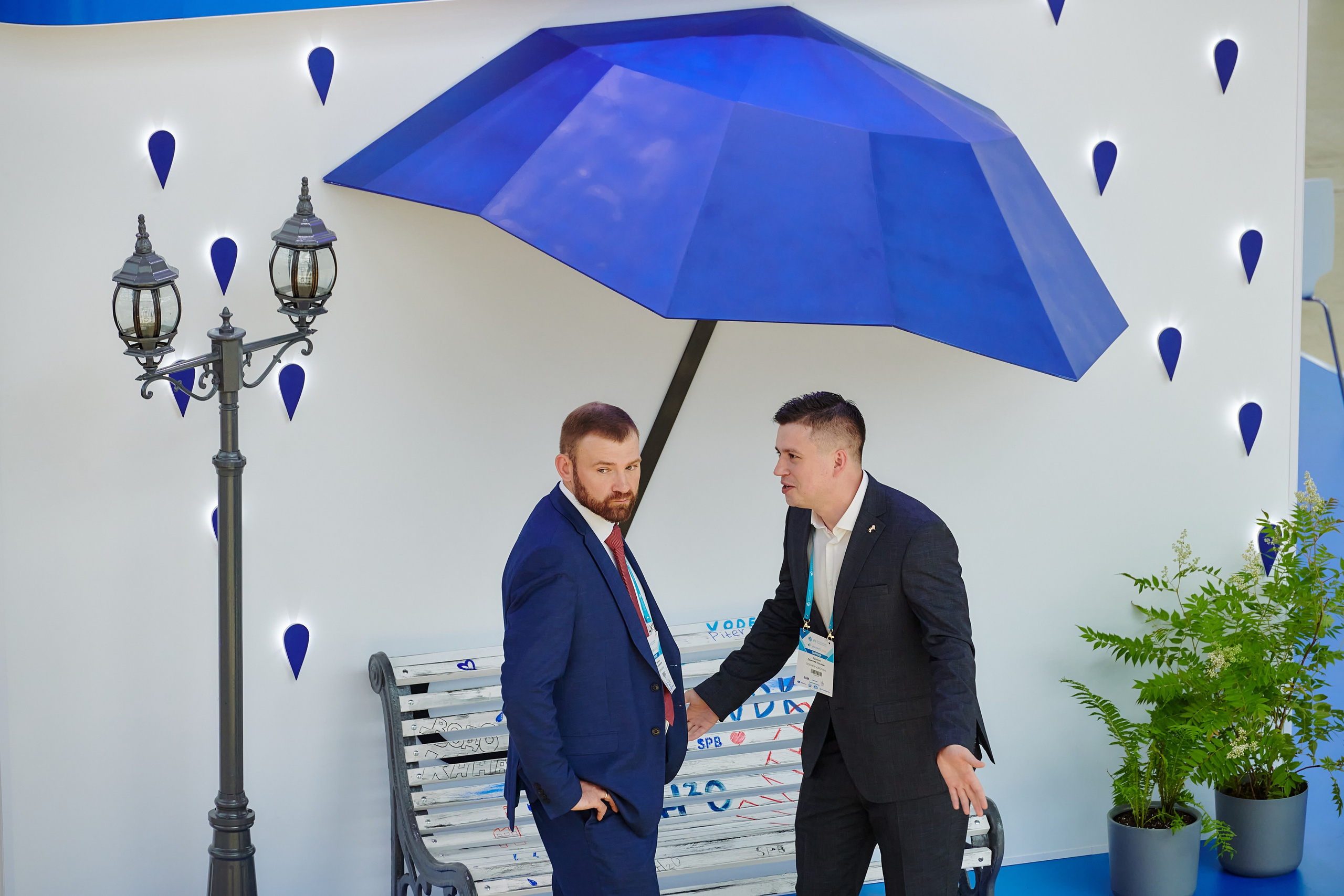 Выставки. Solofilms