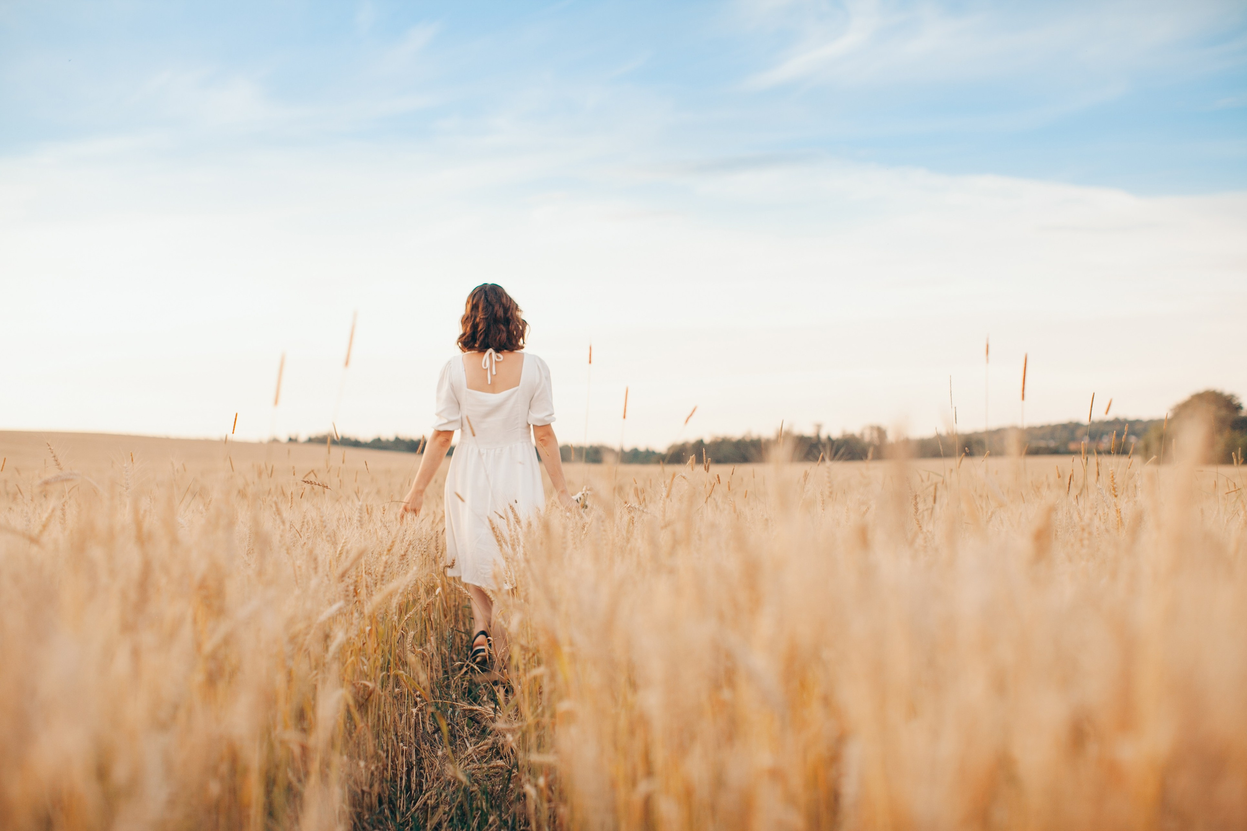 Семейная фотосессия в поле на закате. Фотограф Ольга Ефремова