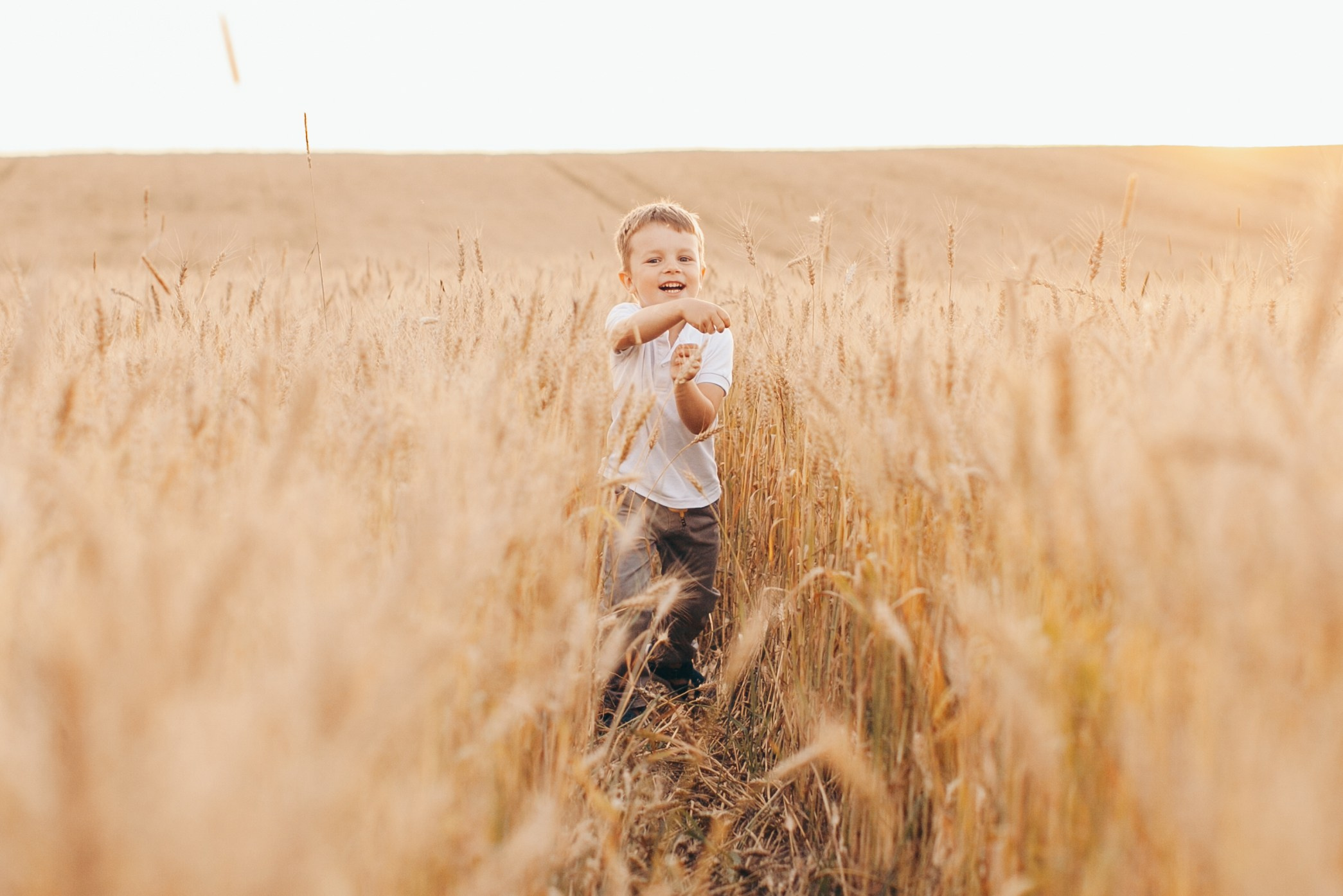Мальчик бежит по пшеничному полю на встречу маме