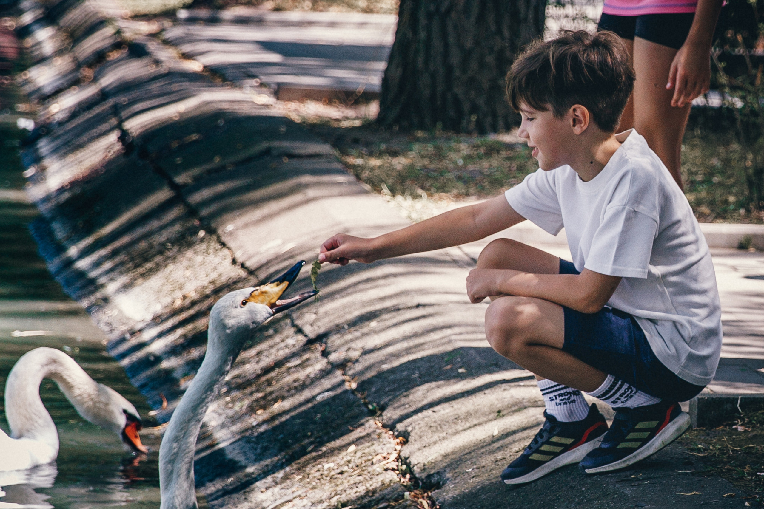 На улице и на природе. Фотограф Оксана Мамукаева г. Владикавказ