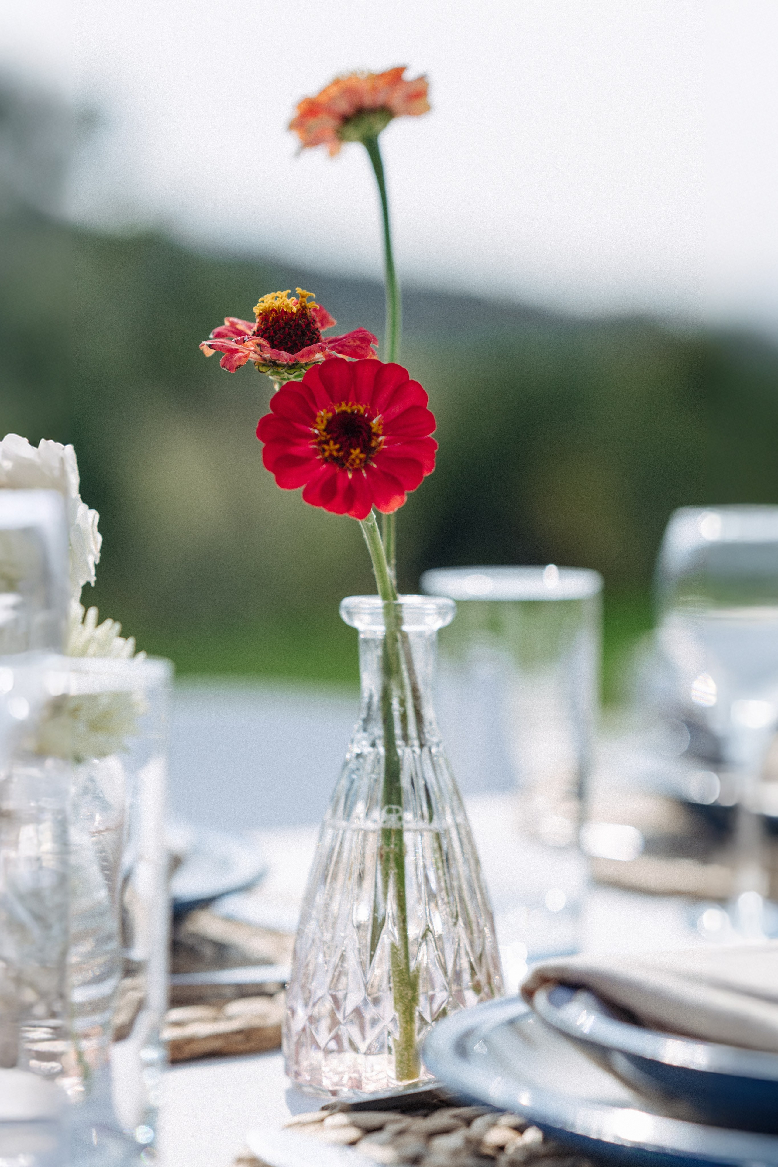 ЛЮСИ И ЭДУАРДО. Фотограф в Алматы — Дарья Фёдорова