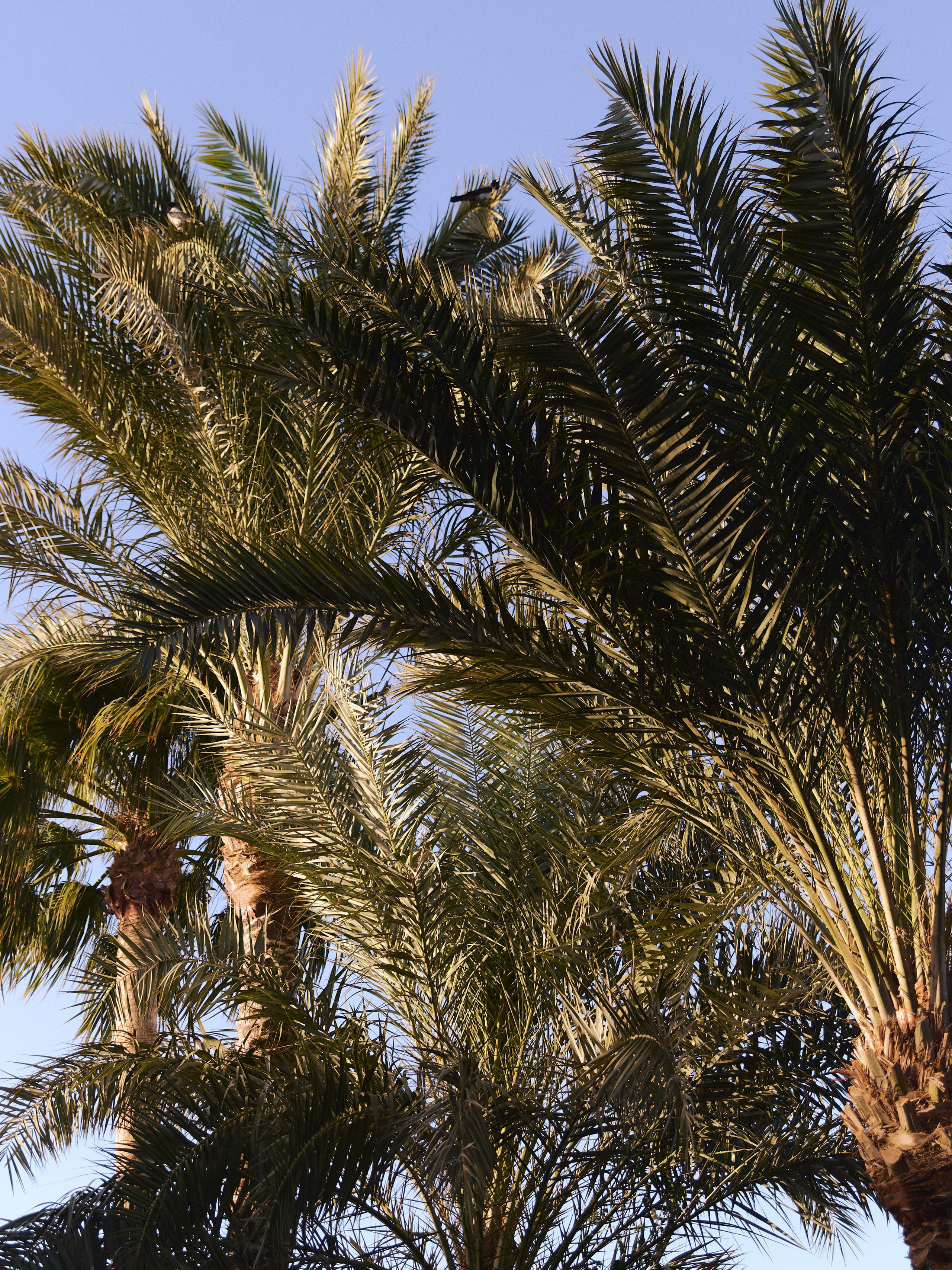 Природа. Jorgis Talè — photographer, kind person, teacher of arts and other mag