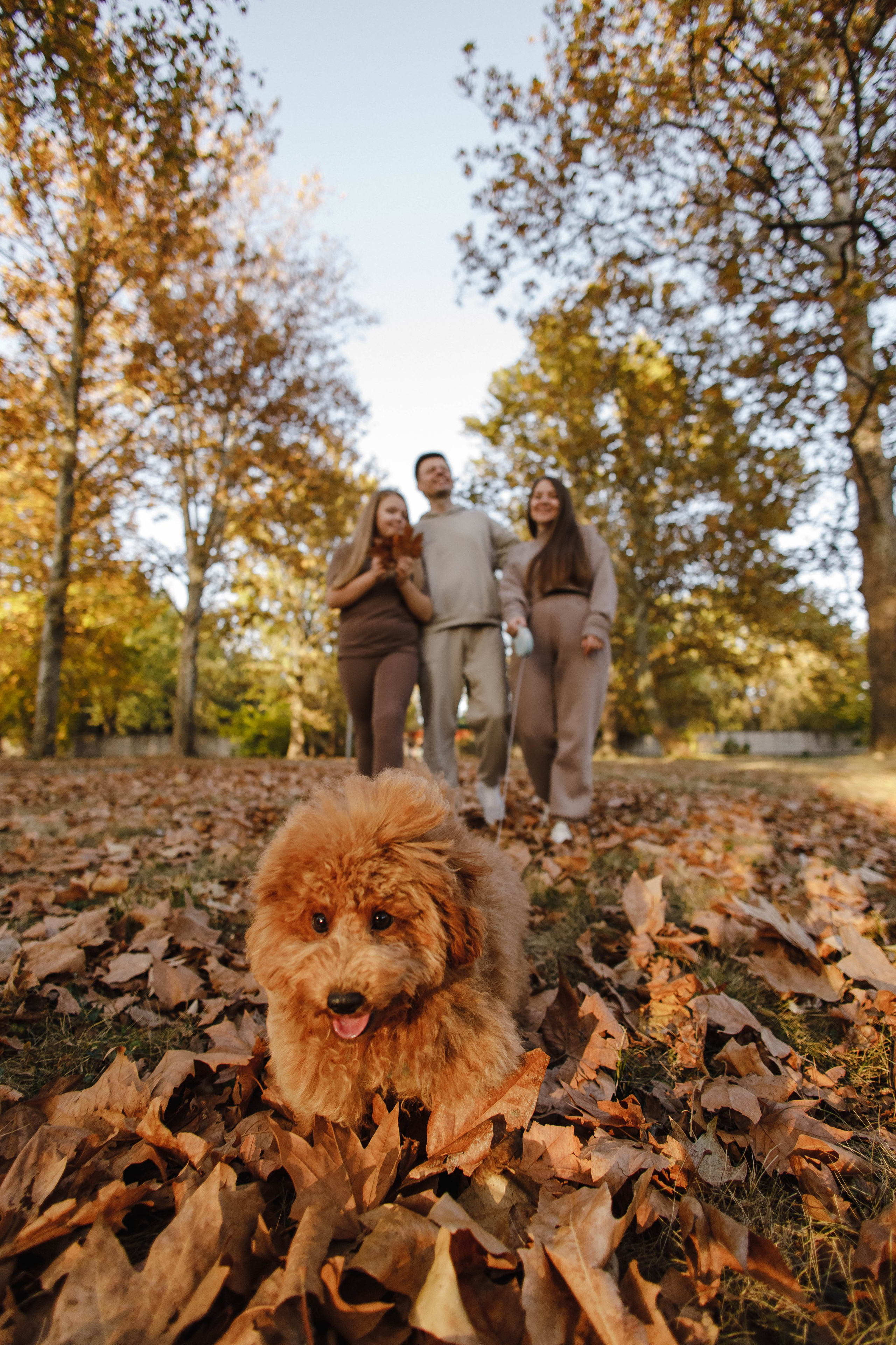 Аня, Рома, Маша. Фотограф Андрей Баксов