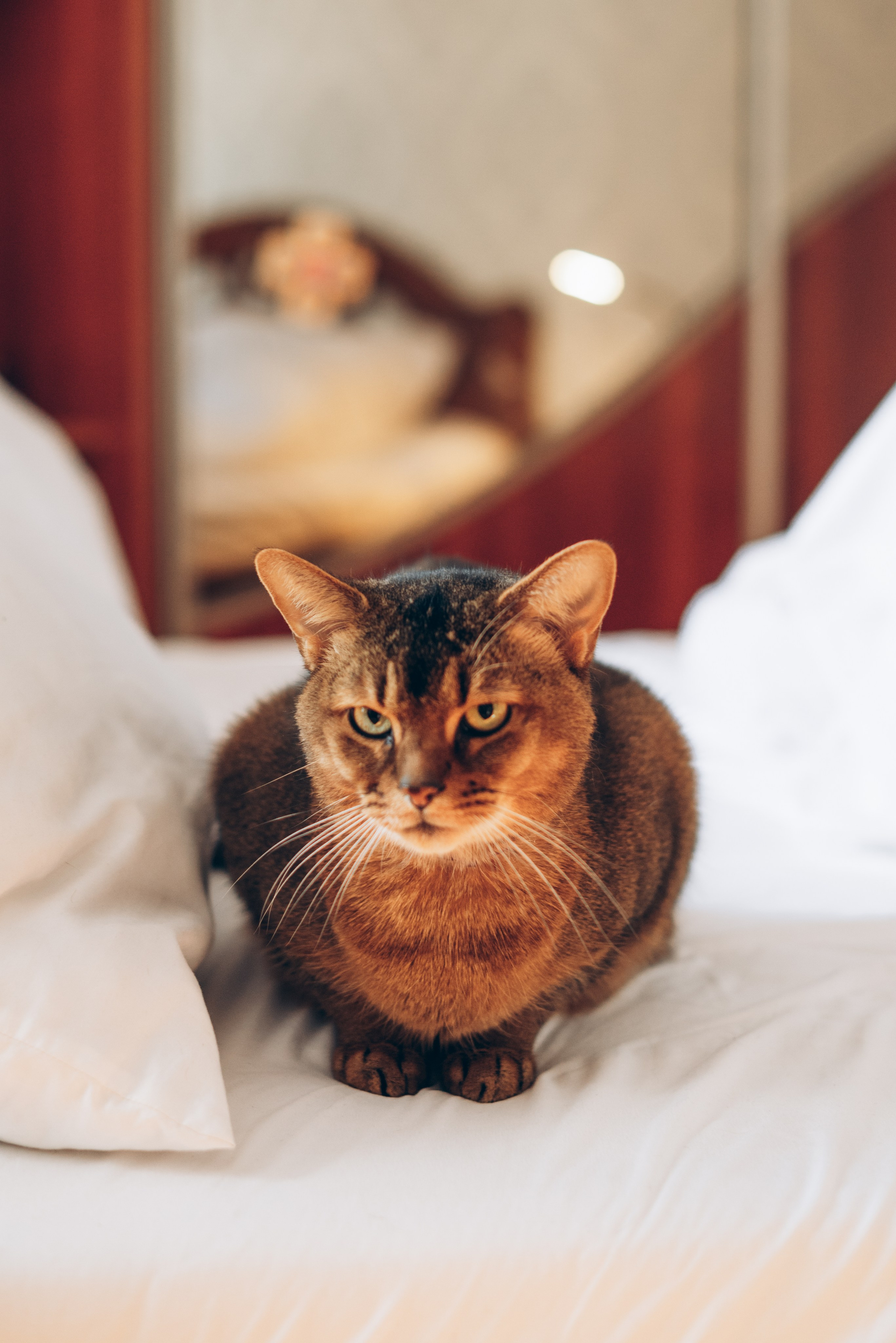 Инна и Ева. Фотограф в Минске Наталия Запорощенко