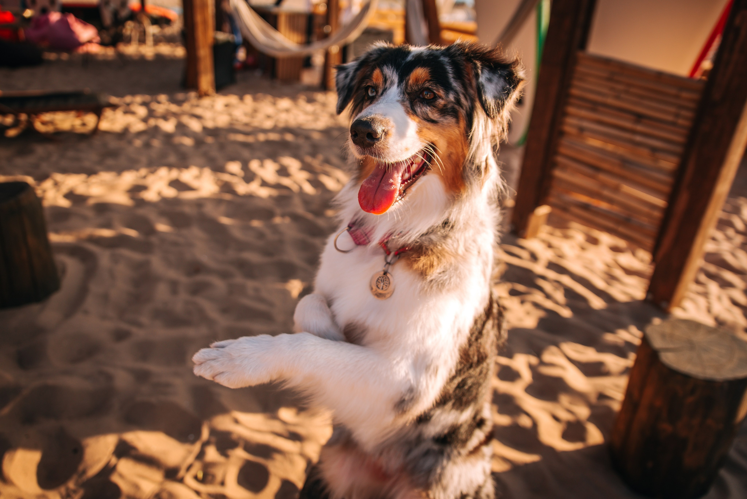 No Bad Days. Главная