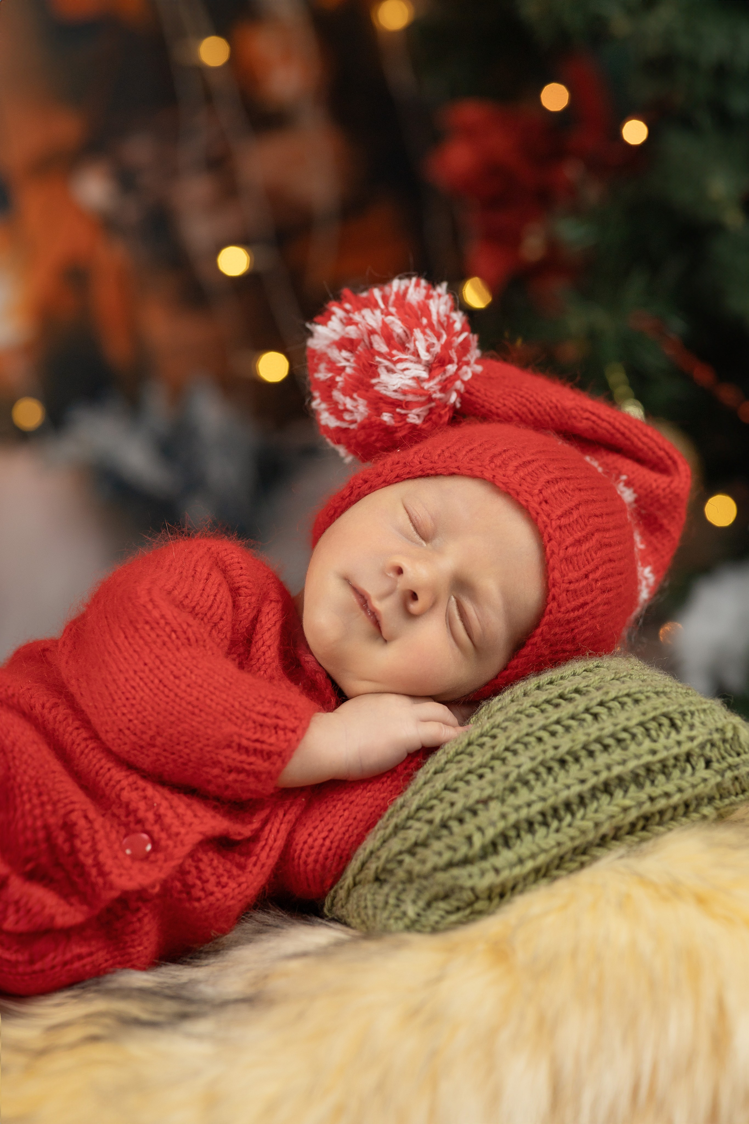 Лев. Ольга SHREIBICUS — Фотография беременности и новорожденных Оренбург