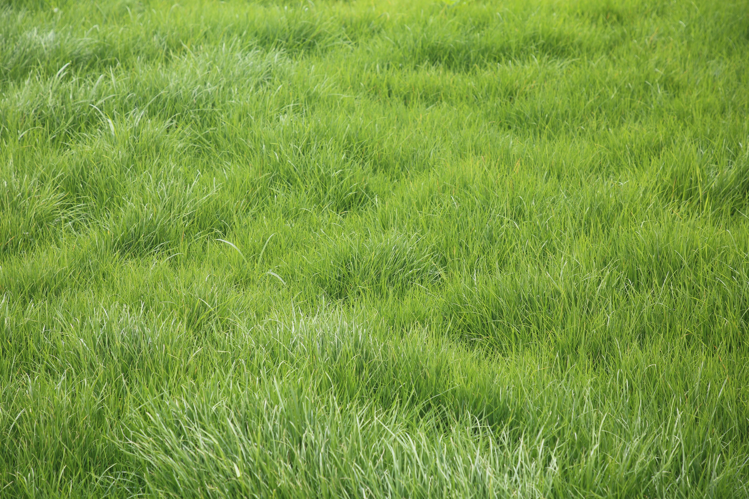 Esmoriz, Portugal. Andrey Filippov Photographer