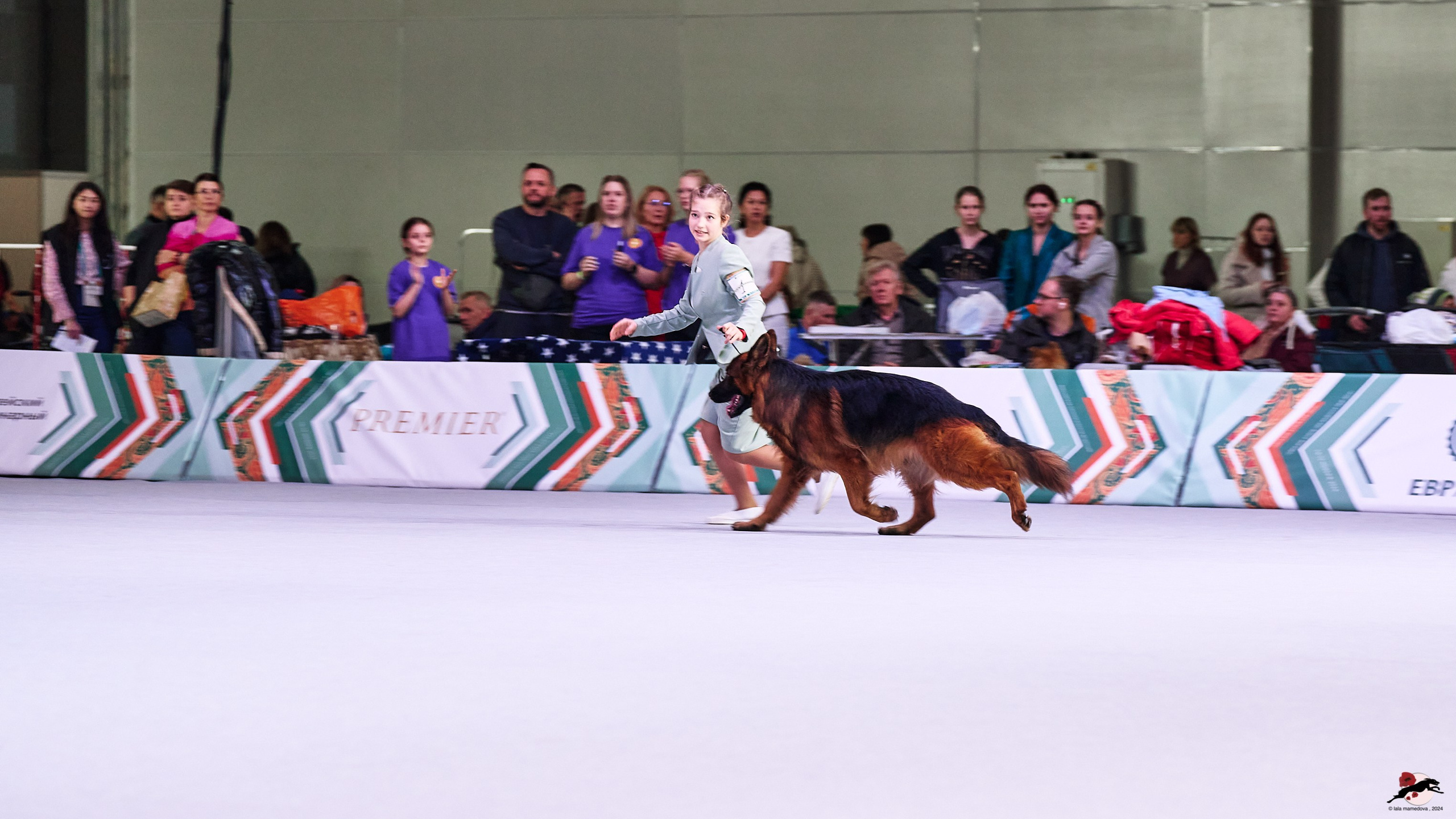 16.11.2024 «ЕВРАЗИЯ. КУБОК ПРЕЗИДЕНТА РКФ 2024»