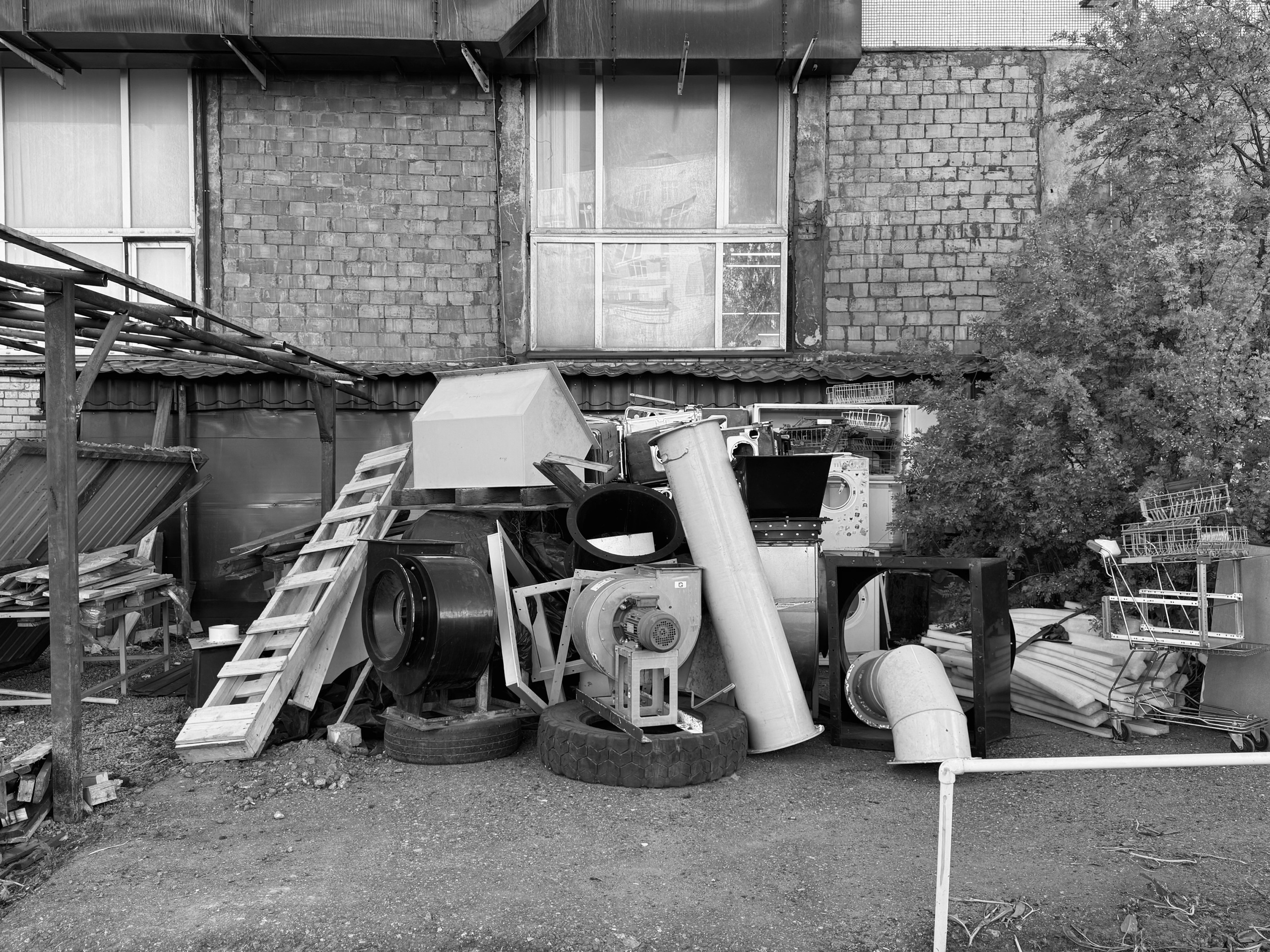 The practicality of non-acceptance. 2025. Janie valde |photographer & visual artist